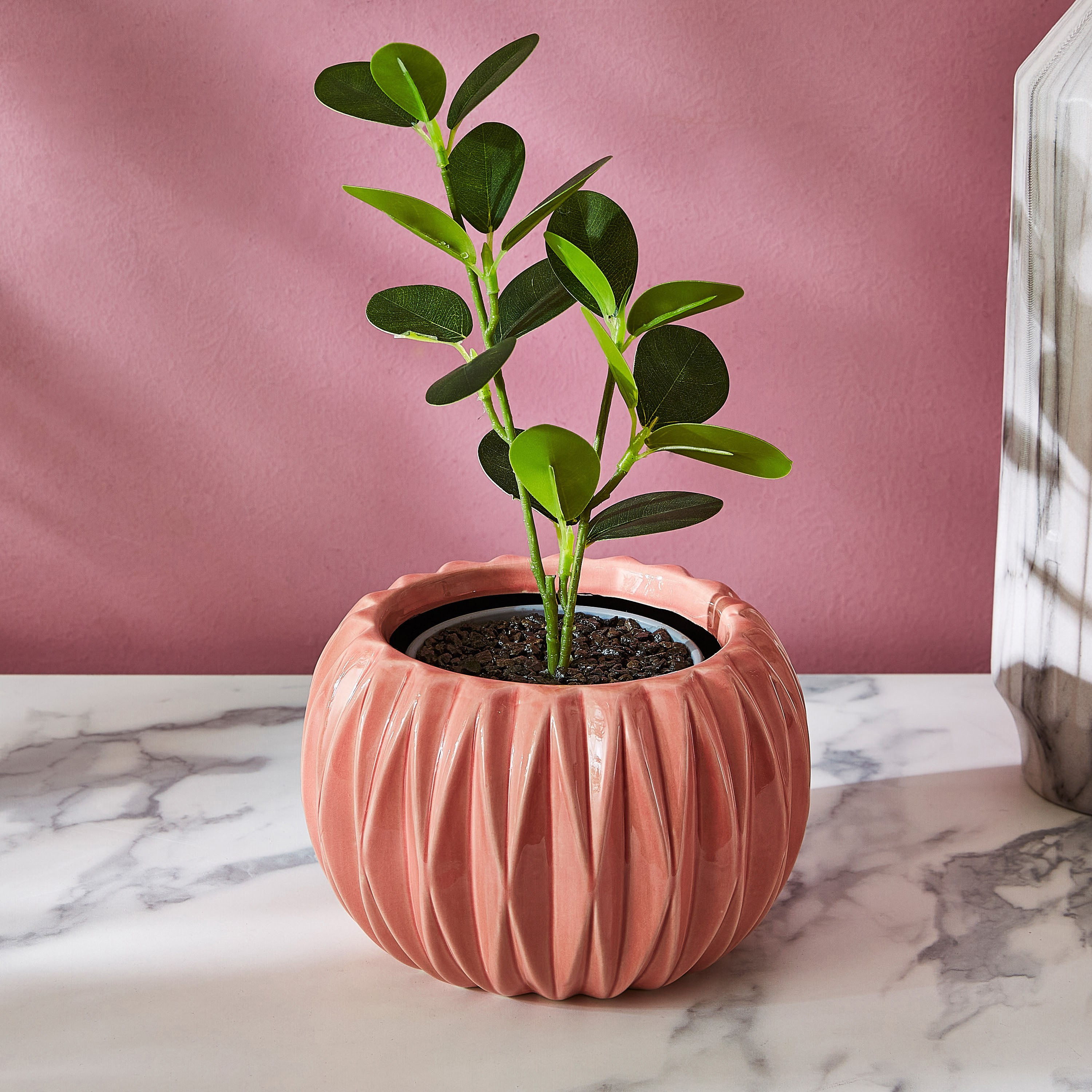 Ciara Circular Shaped Ceramic Planter-PROMO_HB_AE_B1G1_250925-image-3