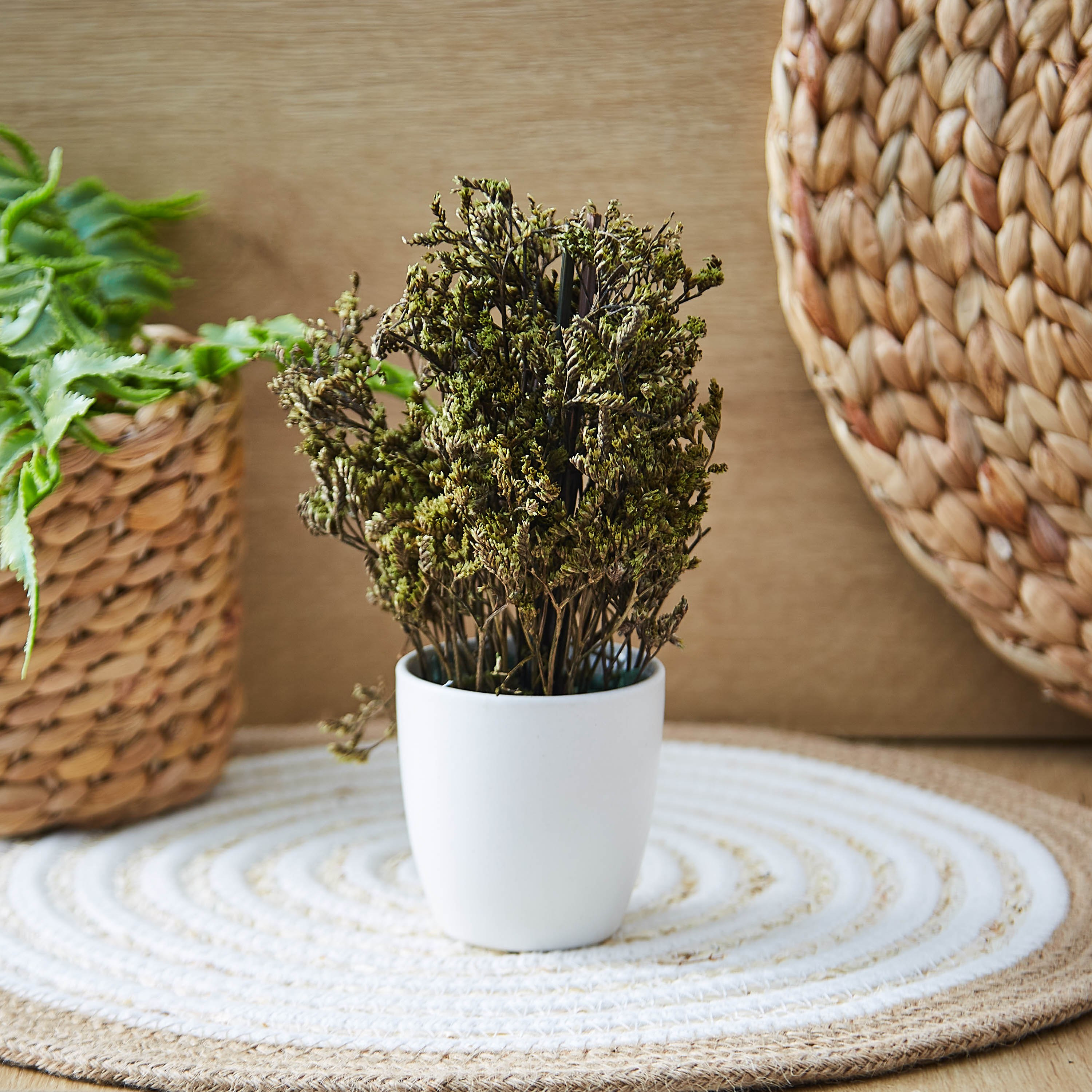 عشب مُرتب في إصيص سيراميكي من إتنا - 19 سم-hbxdecorandfurnishings-homeaccessories-artificialflowersandplants-image-1