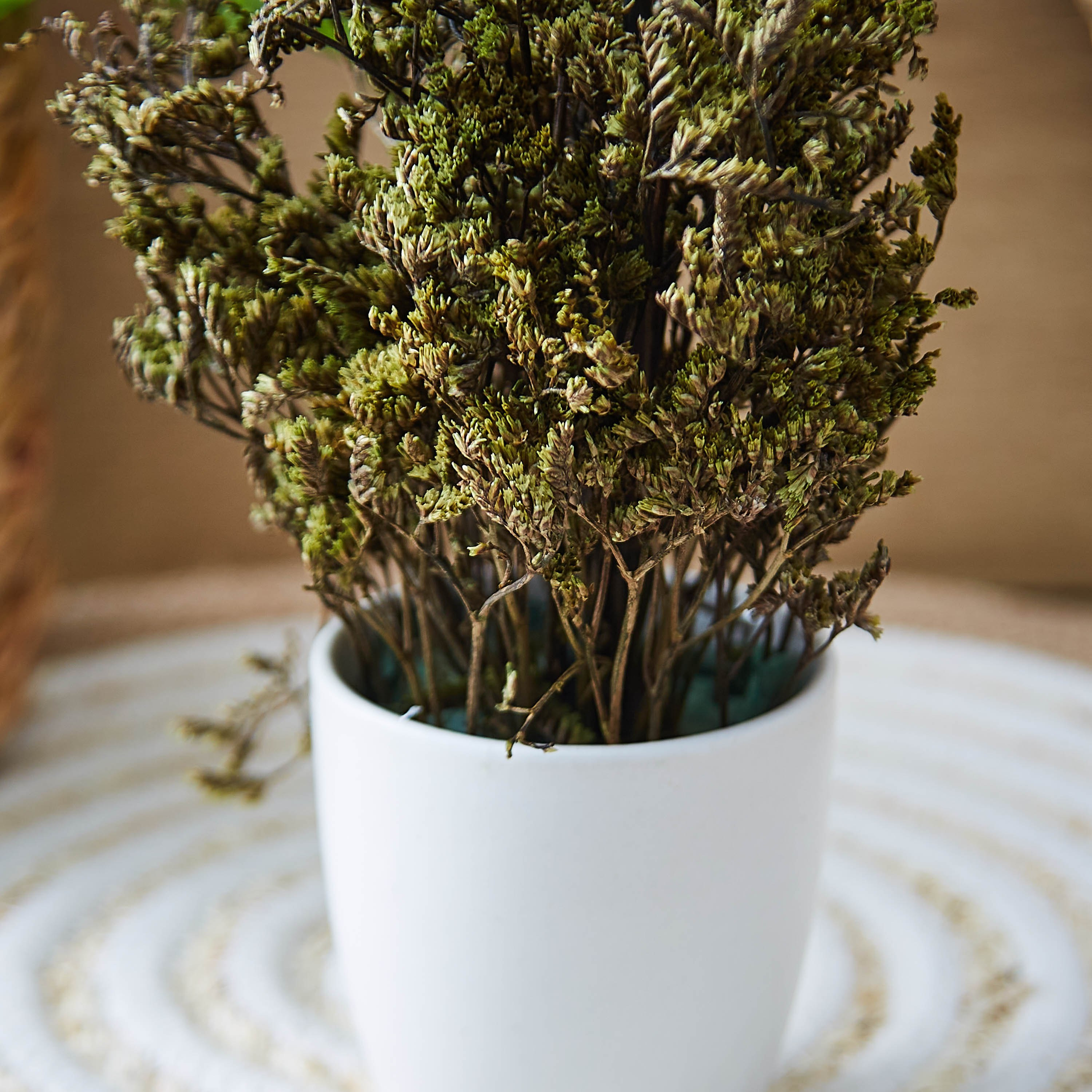 عشب مُرتب في إصيص سيراميكي من إتنا - 19 سم-hbxdecorandfurnishings-homeaccessories-artificialflowersandplants-image-2