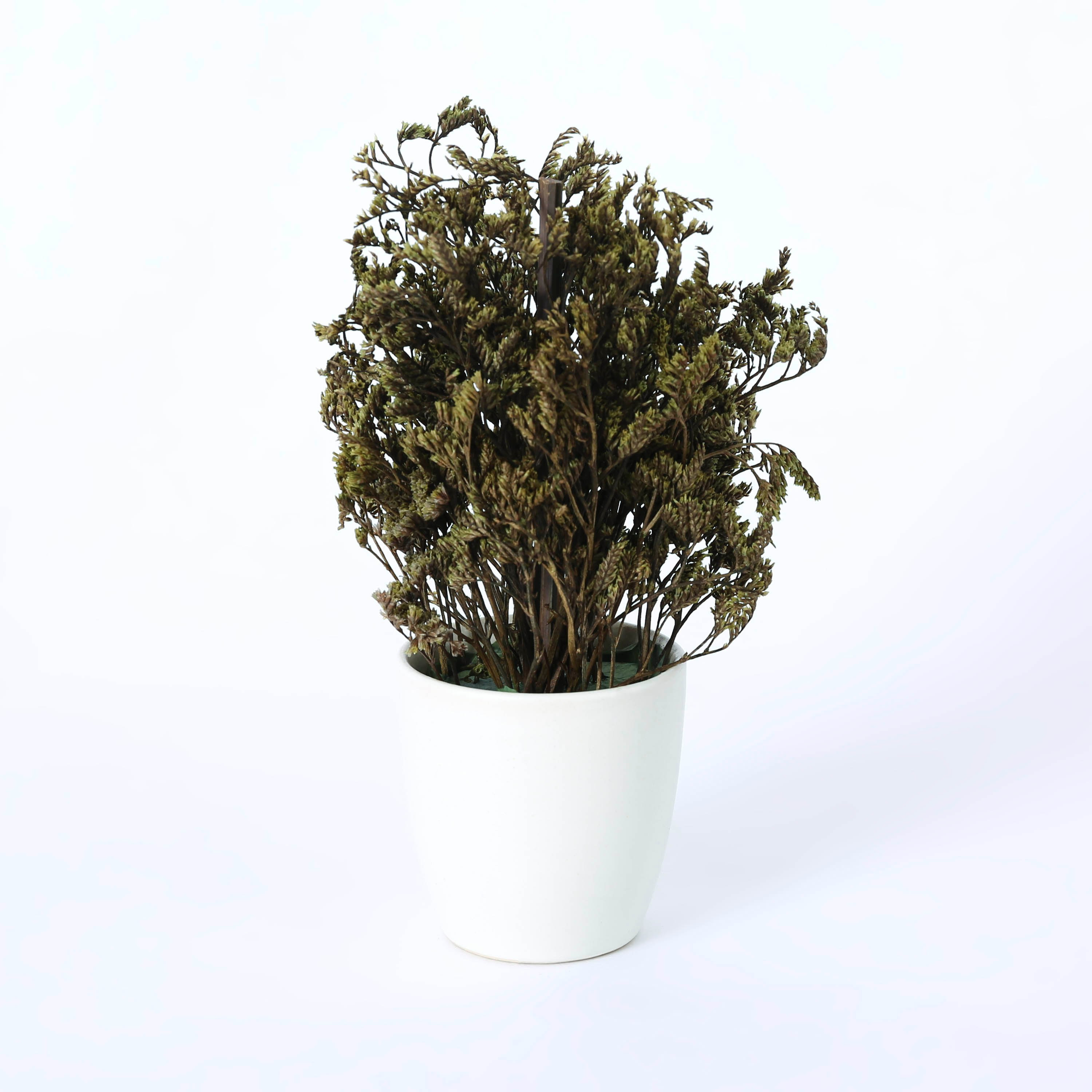 عشب مُرتب في إصيص سيراميكي من إتنا - 19 سم-hbxdecorandfurnishings-homeaccessories-artificialflowersandplants-image-3