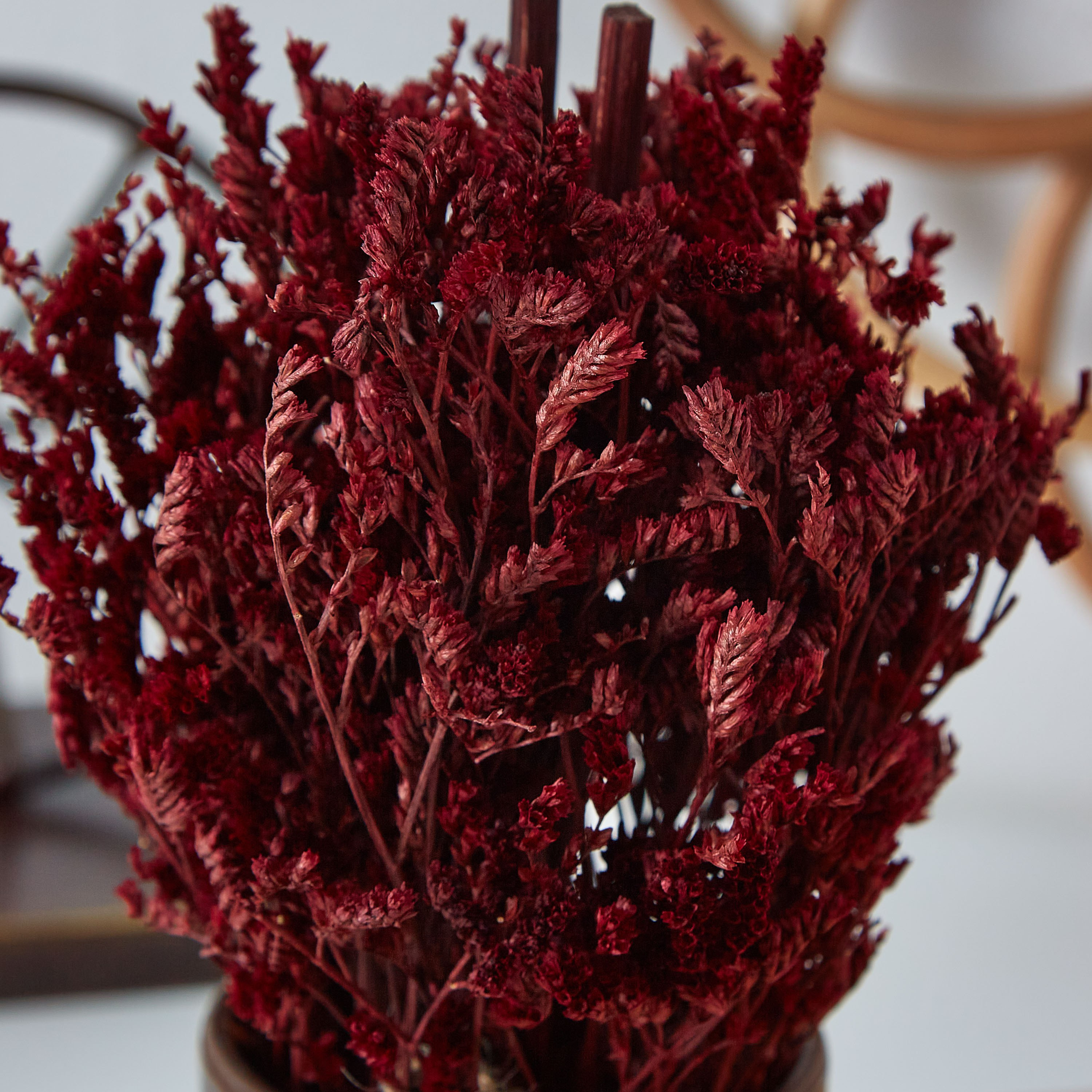 تشكيلة عشب متنوعة في إصيص زجاجي من إتنا - 19 سم-hbxdecorandfurnishings-homeaccessories-artificialflowersandplants-image-2