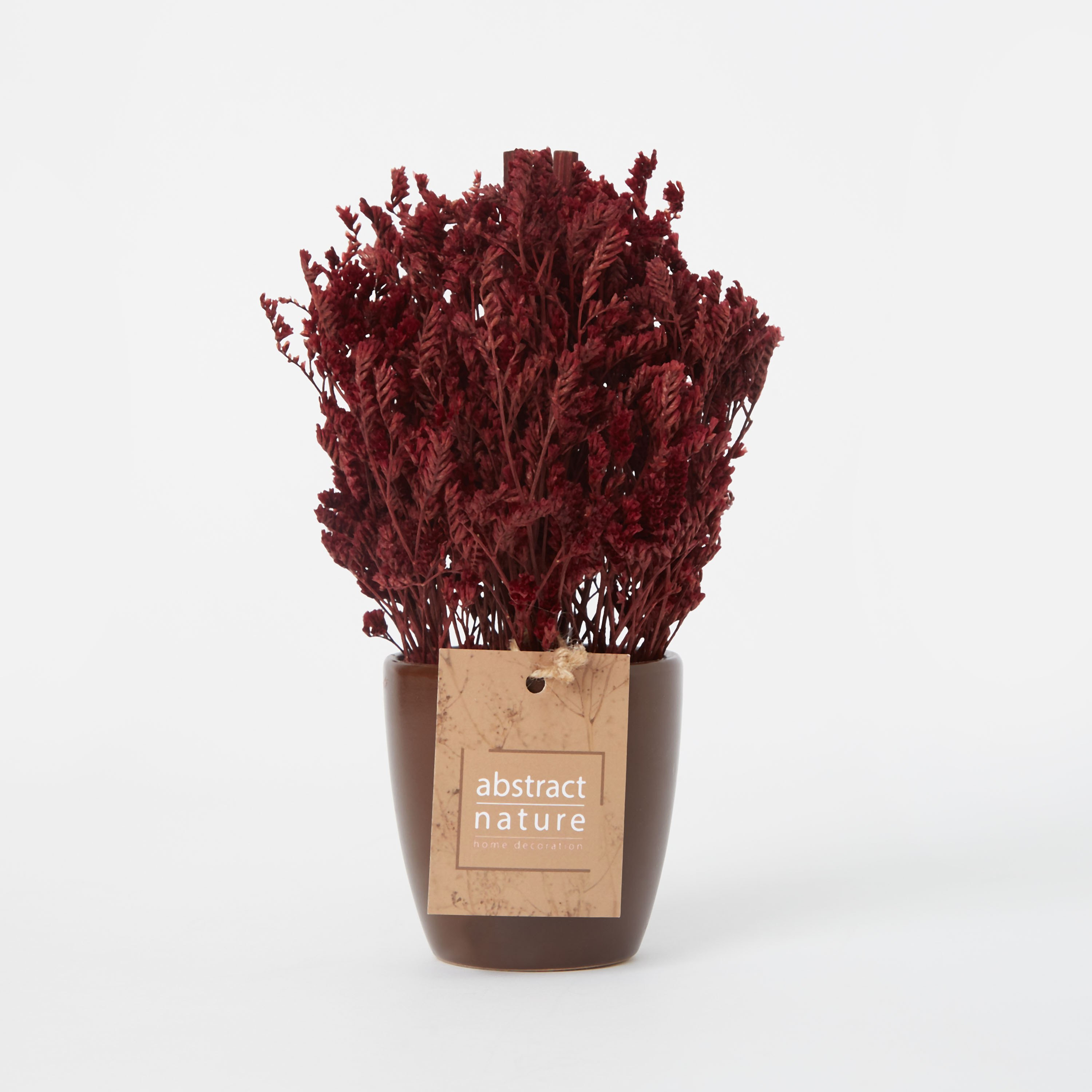 تشكيلة عشب متنوعة في إصيص زجاجي من إتنا - 19 سم-hbxdecorandfurnishings-homeaccessories-artificialflowersandplants-image-4