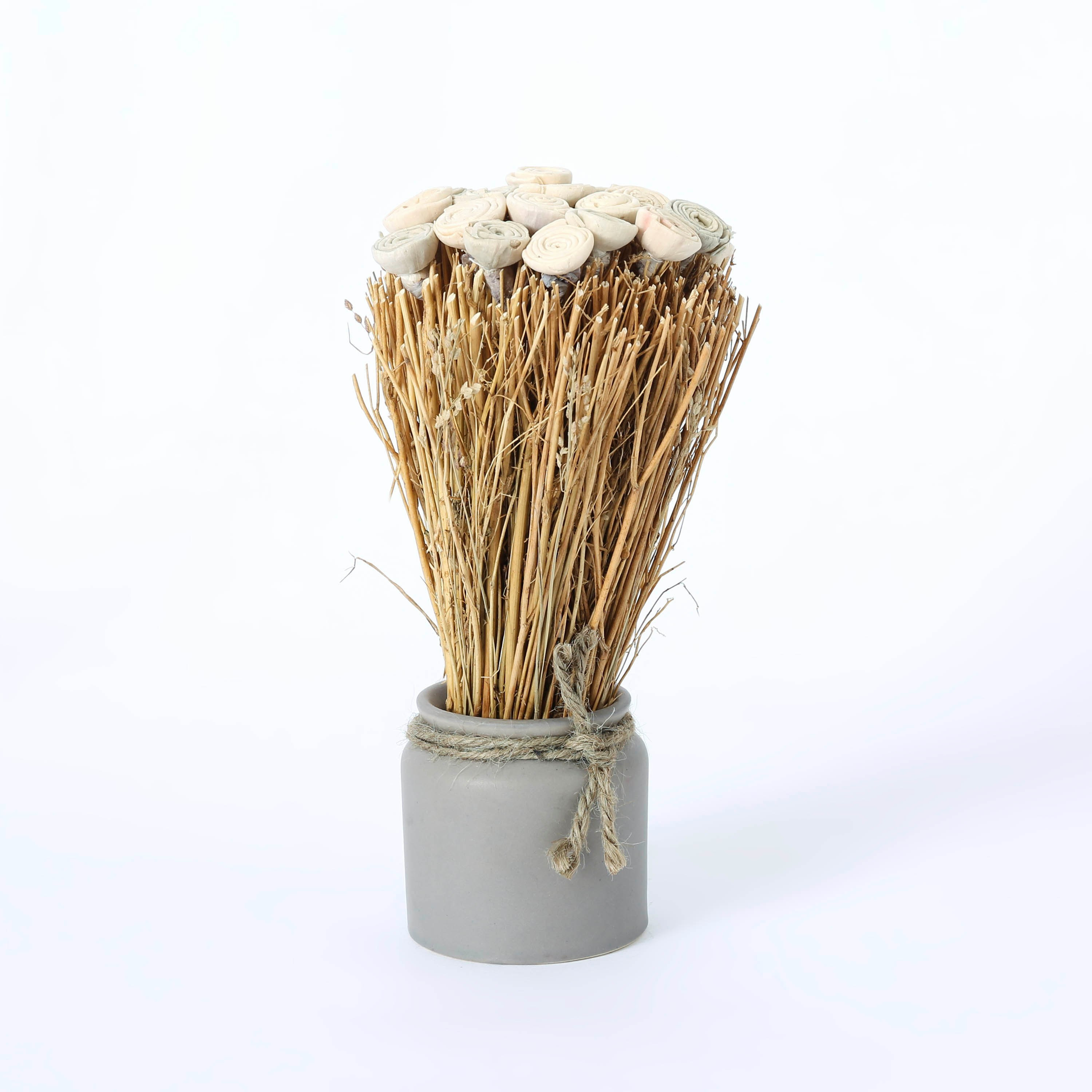 زهور مجففة مرتبة في إصيص سيراميكي من إتنا - 18 سم-hbxdecorandfurnishings-homeaccessories-artificialflowersandplants-image-5