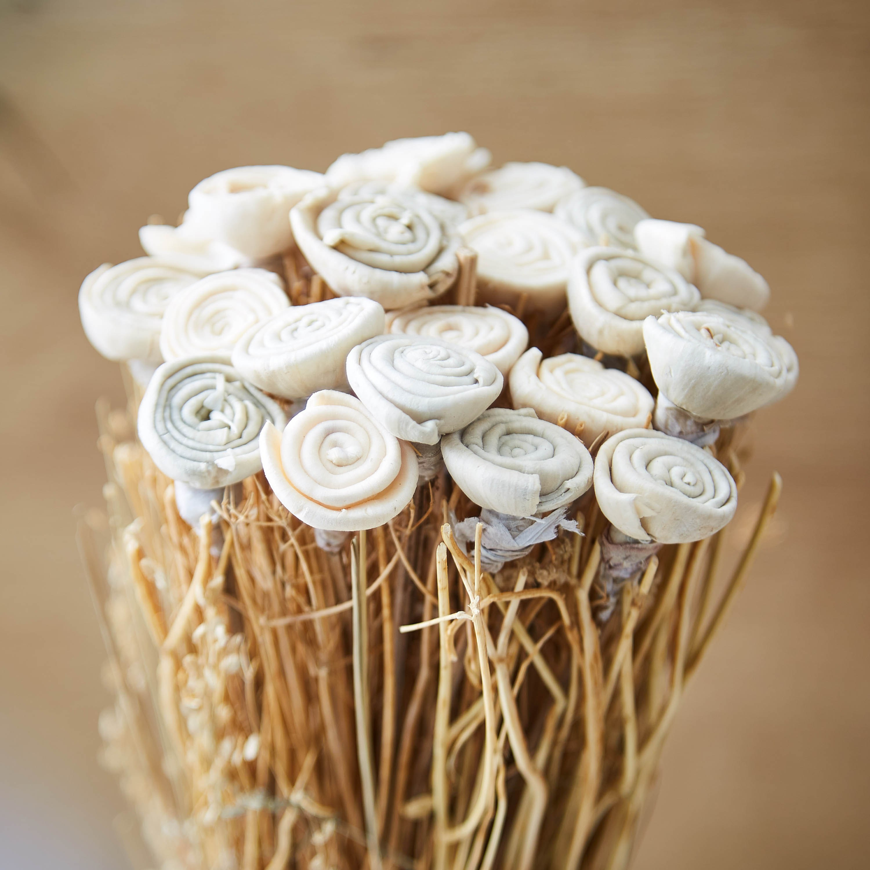 زهور مجففة مُرتبة في إصيص سيراميكي من إتنا - 20 سم-hbxdecorandfurnishings-homeaccessories-artificialflowersandplants-image-2