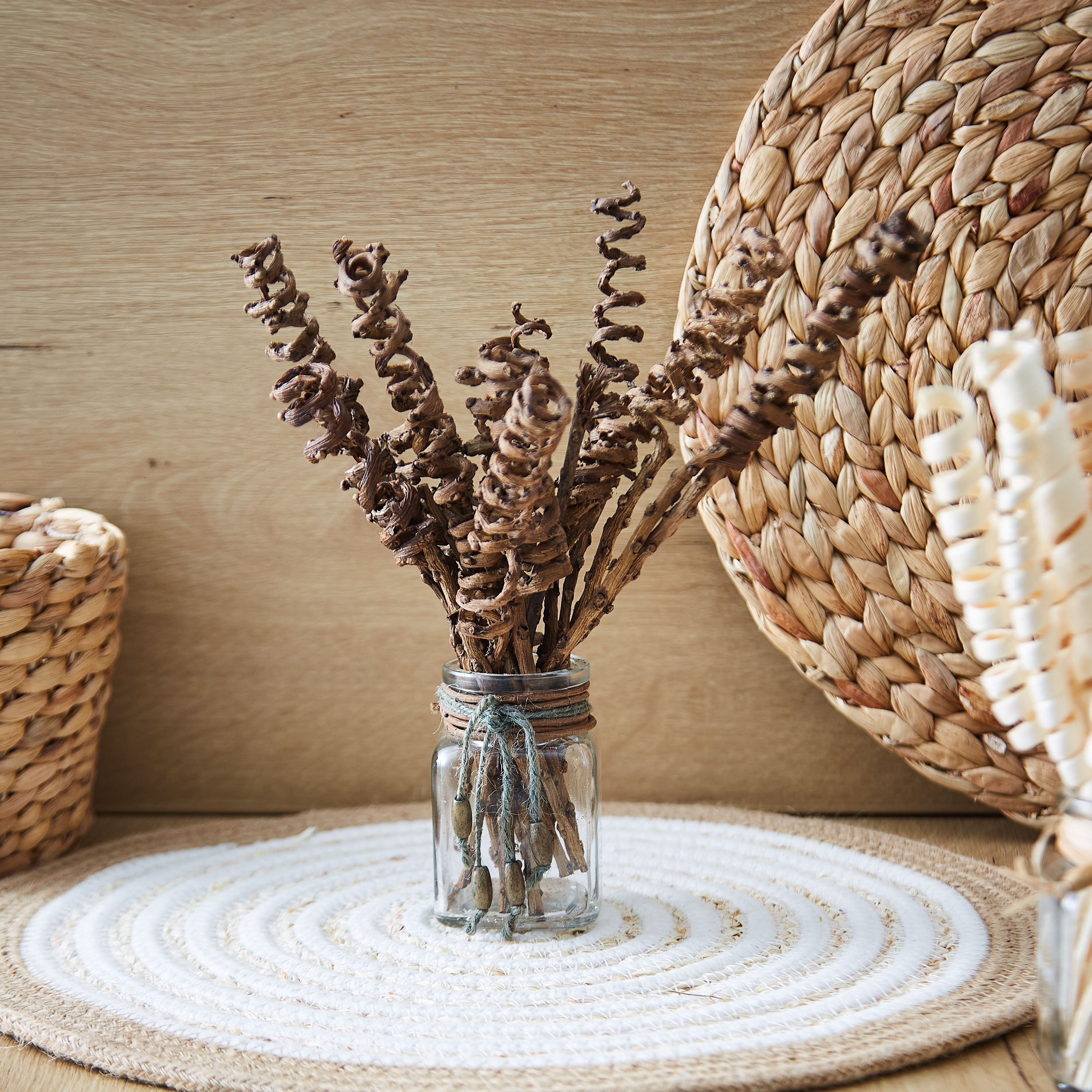 هارفست مجفف في إصيص زجاجي من إتنا - 22 سم-hbxdecorandfurnishings-homeaccessories-artificialflowersandplants-image-1