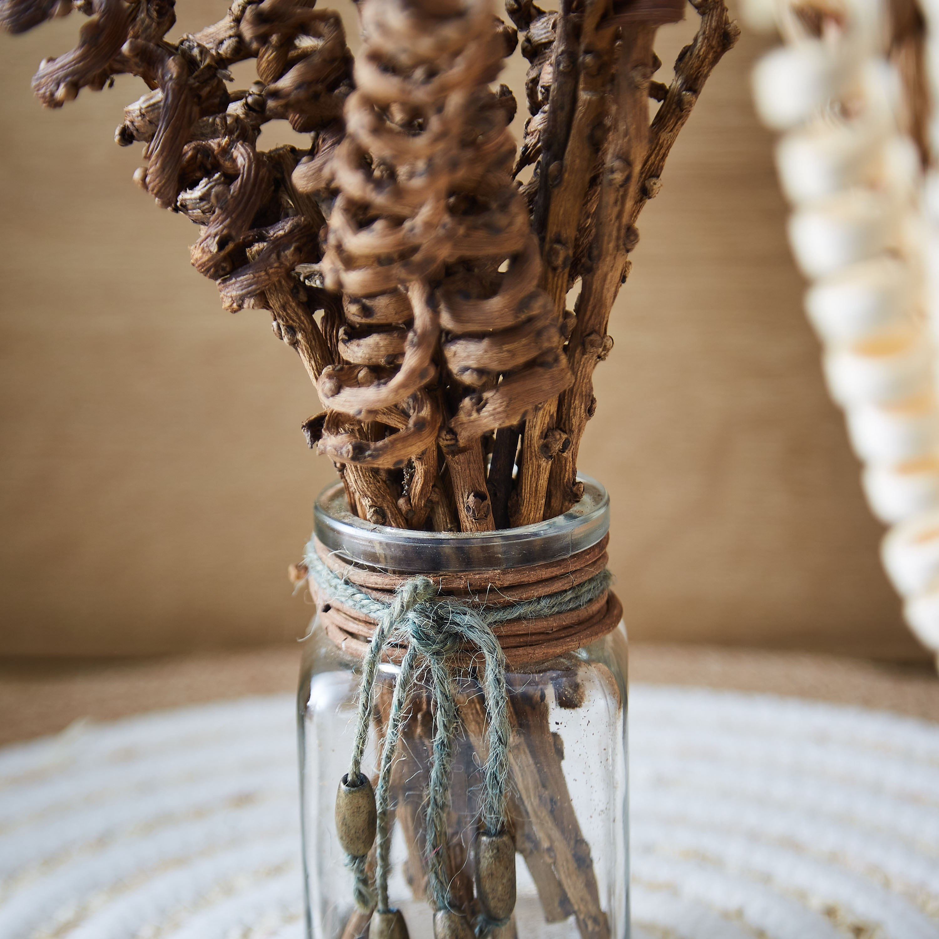 هارفست مجفف في إصيص زجاجي من إتنا - 22 سم-hbxdecorandfurnishings-homeaccessories-artificialflowersandplants-image-2