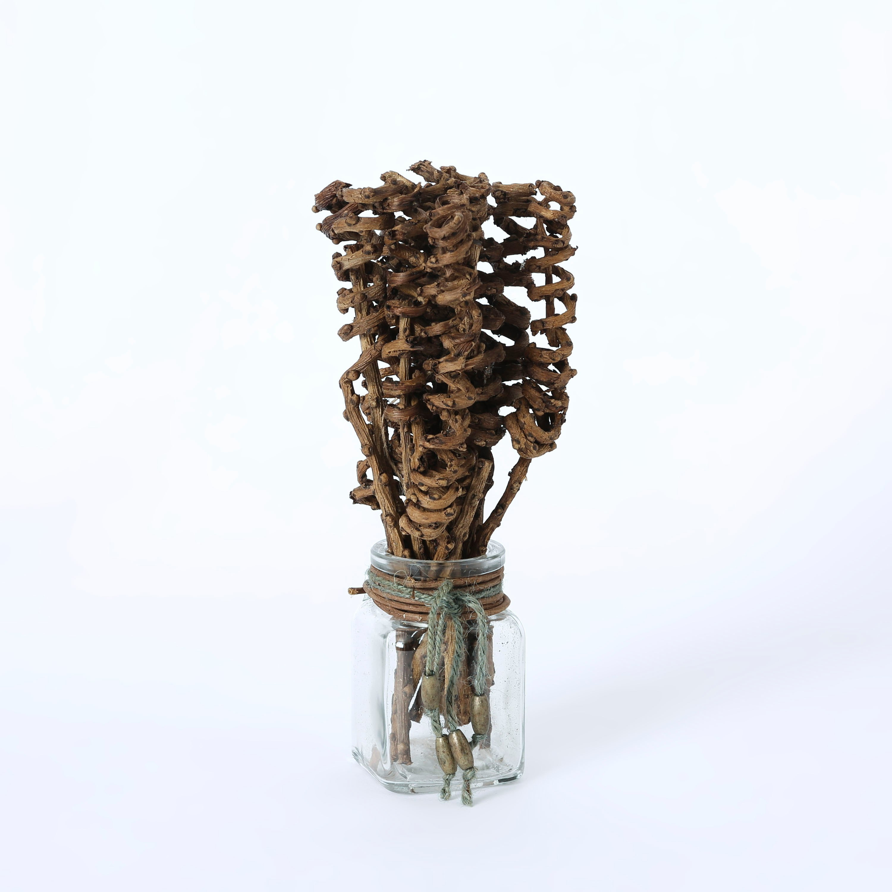 هارفست مجفف في إصيص زجاجي من إتنا - 22 سم-hbxdecorandfurnishings-homeaccessories-artificialflowersandplants-image-4