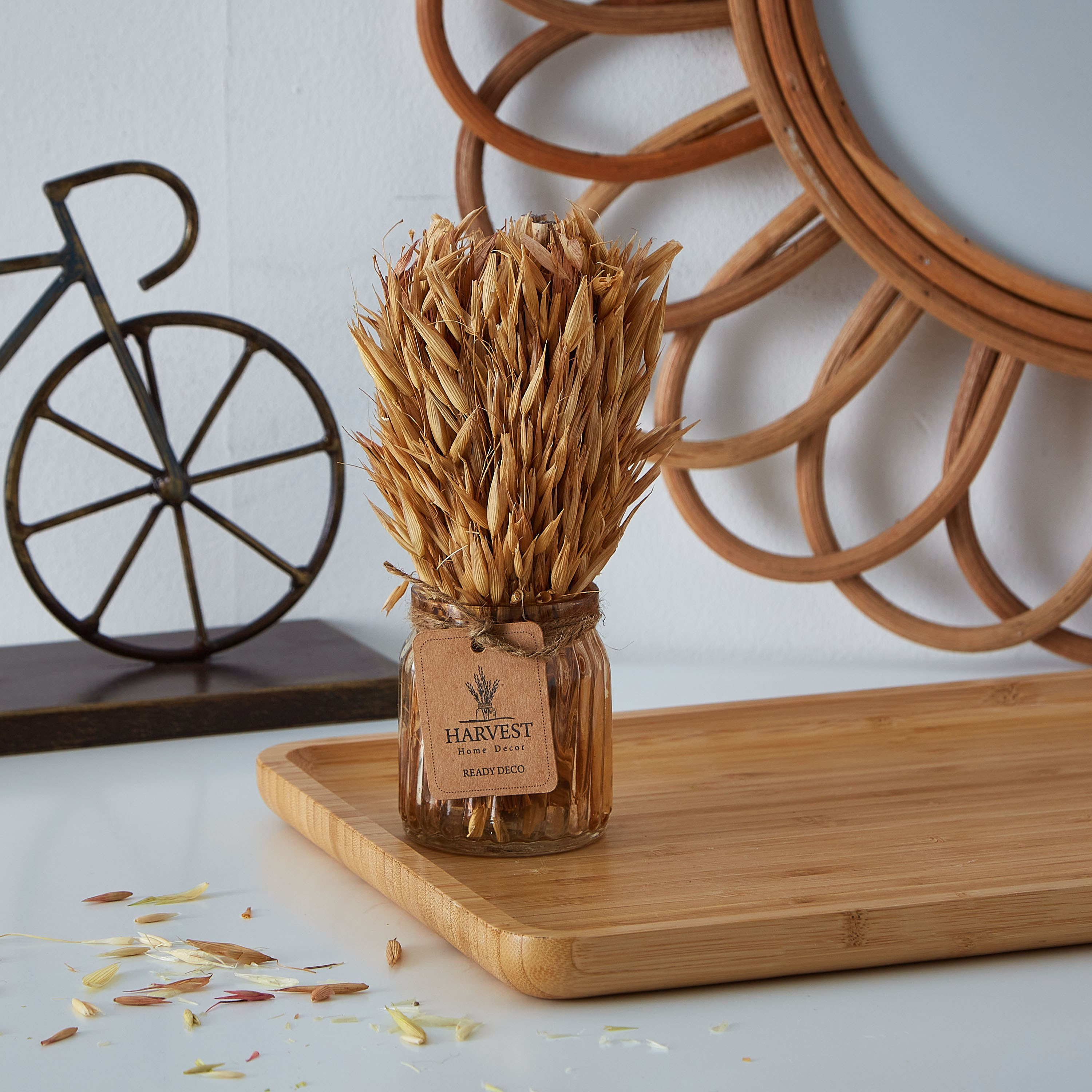عشب مجفف في إصيص زجاجي من إتنا - 18 سم-hbxdecorandfurnishings-homeaccessories-artificialflowersandplants-image-1
