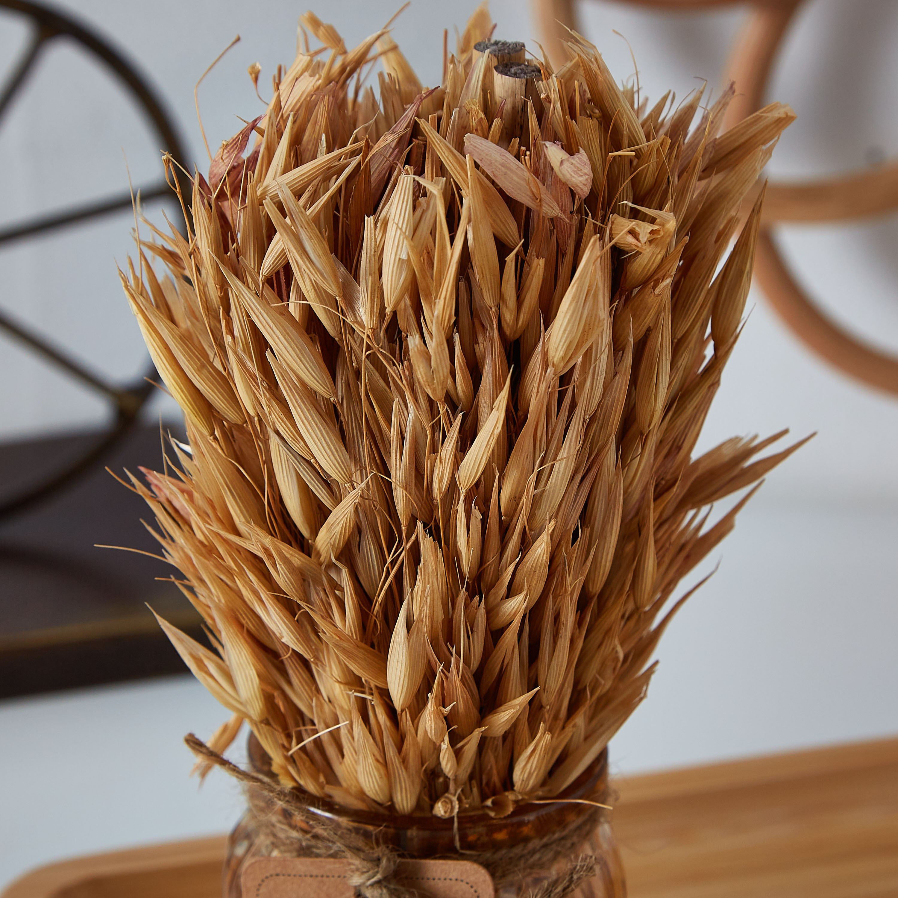 عشب مجفف في إصيص زجاجي من إتنا - 18 سم-hbxdecorandfurnishings-homeaccessories-artificialflowersandplants-image-2