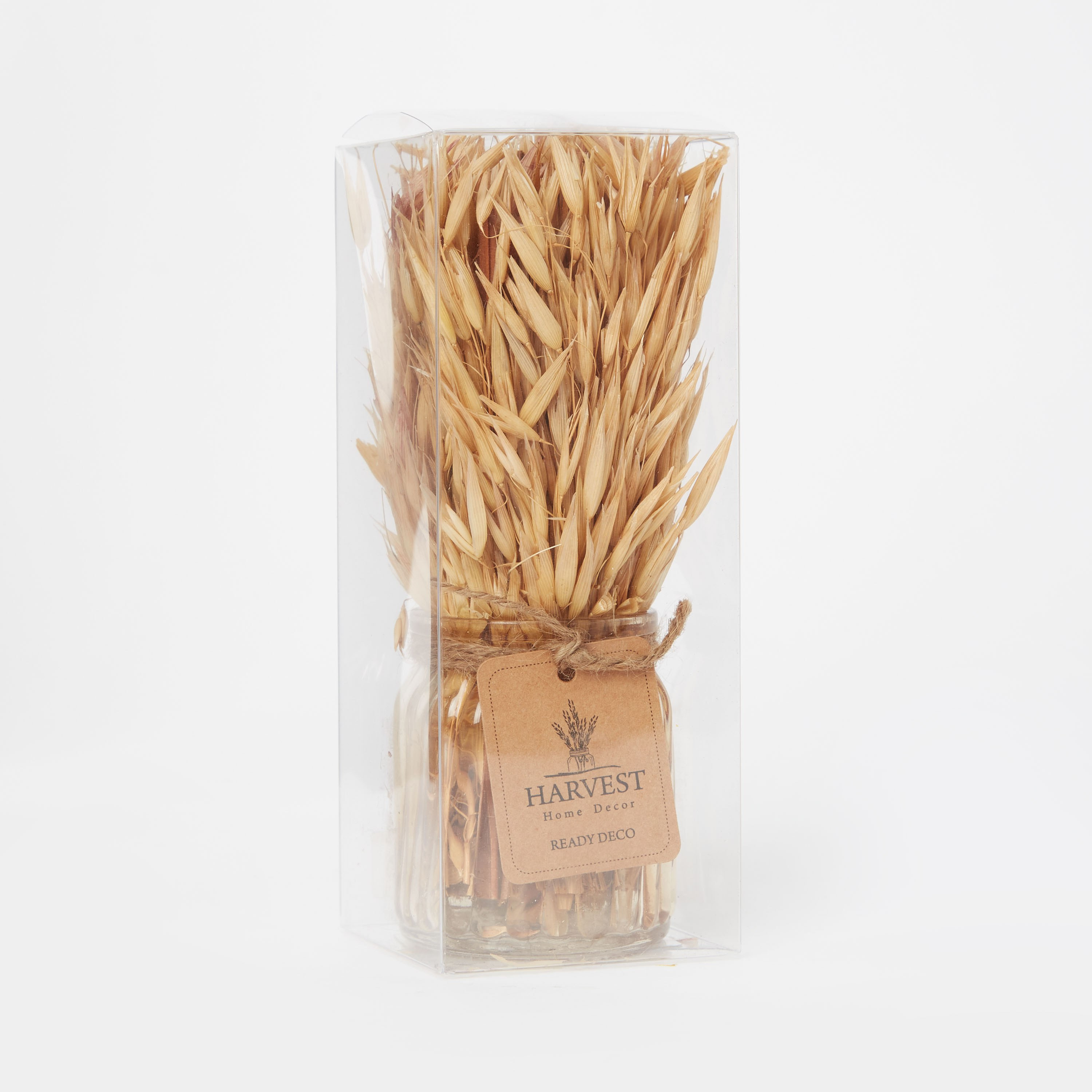 عشب مجفف في إصيص زجاجي من إتنا - 18 سم-hbxdecorandfurnishings-homeaccessories-artificialflowersandplants-image-4