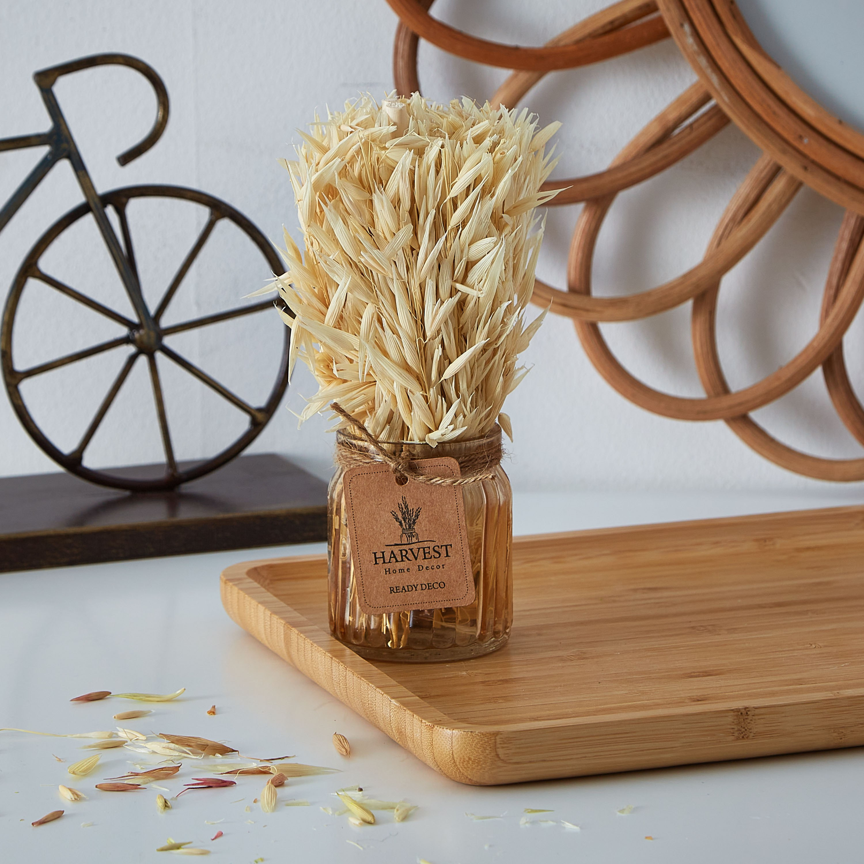 عشب مجفف في إصيص زجاجي من إتنا - 18 سم-hbxdecorandfurnishings-homeaccessories-artificialflowersandplants-image-1