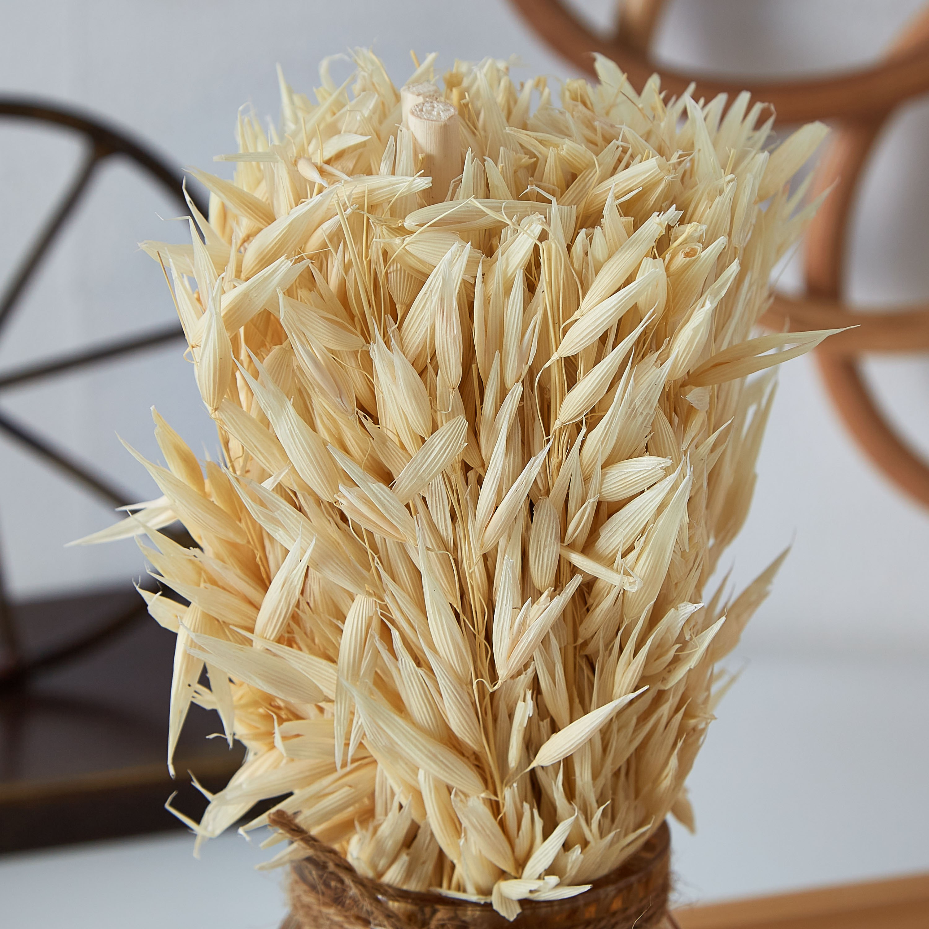 عشب مجفف في إصيص زجاجي من إتنا - 18 سم-hbxdecorandfurnishings-homeaccessories-artificialflowersandplants-image-2
