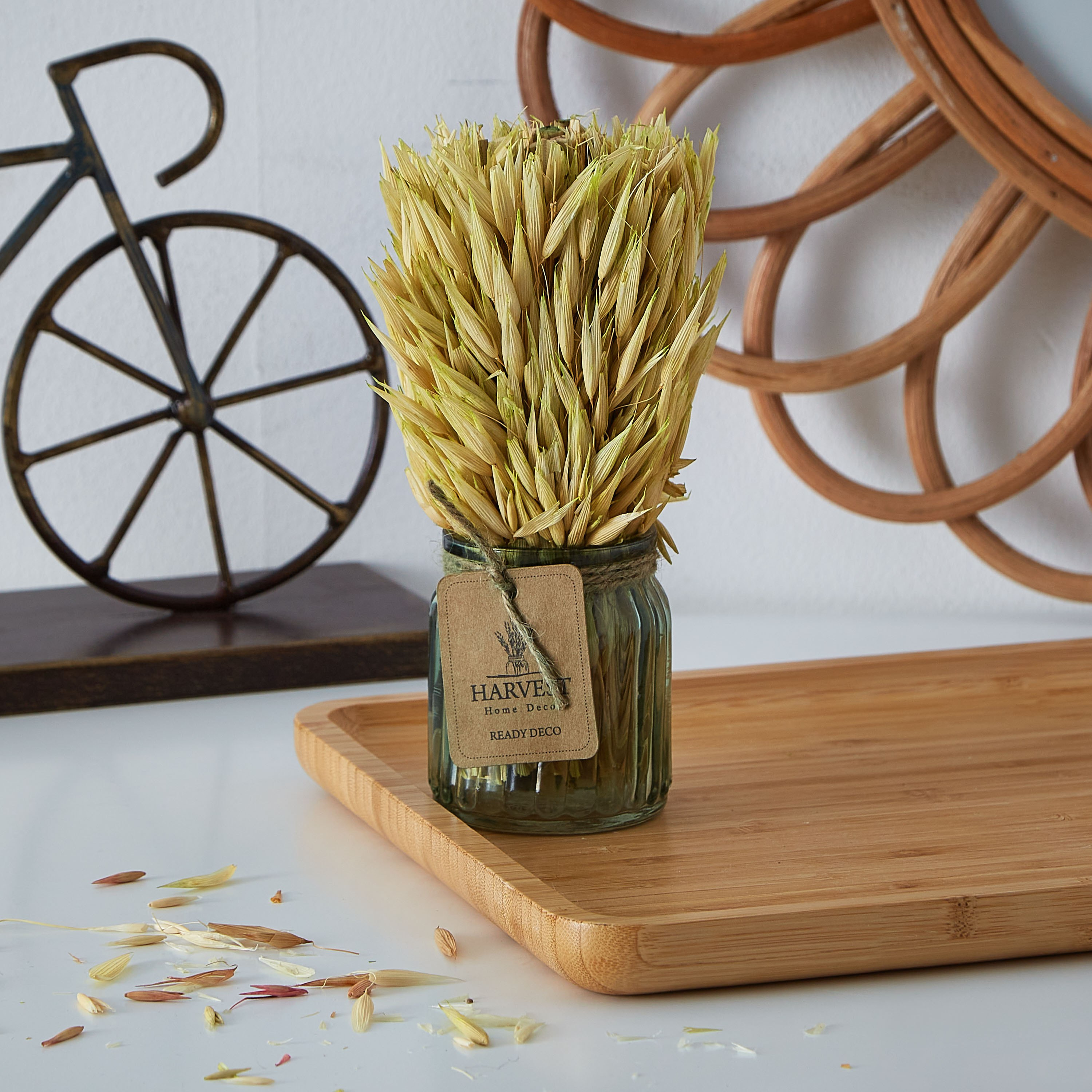 عشب مجفف في إصيص زجاجي من إتنا - 18 سم-hbxdecorandfurnishings-homeaccessories-artificialflowersandplants-image-1