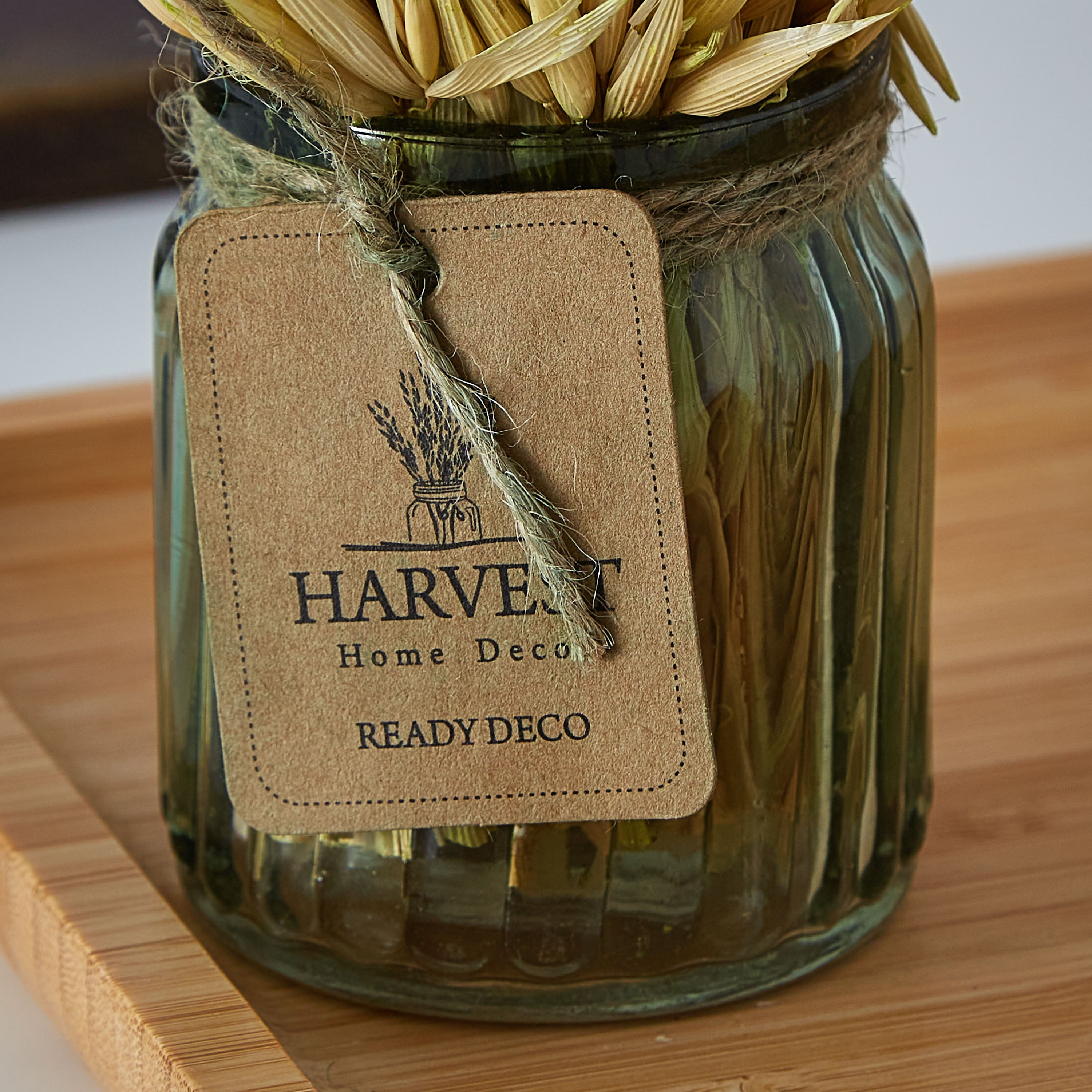 عشب مجفف في إصيص زجاجي من إتنا - 18 سم-hbxdecorandfurnishings-homeaccessories-artificialflowersandplants-image-3