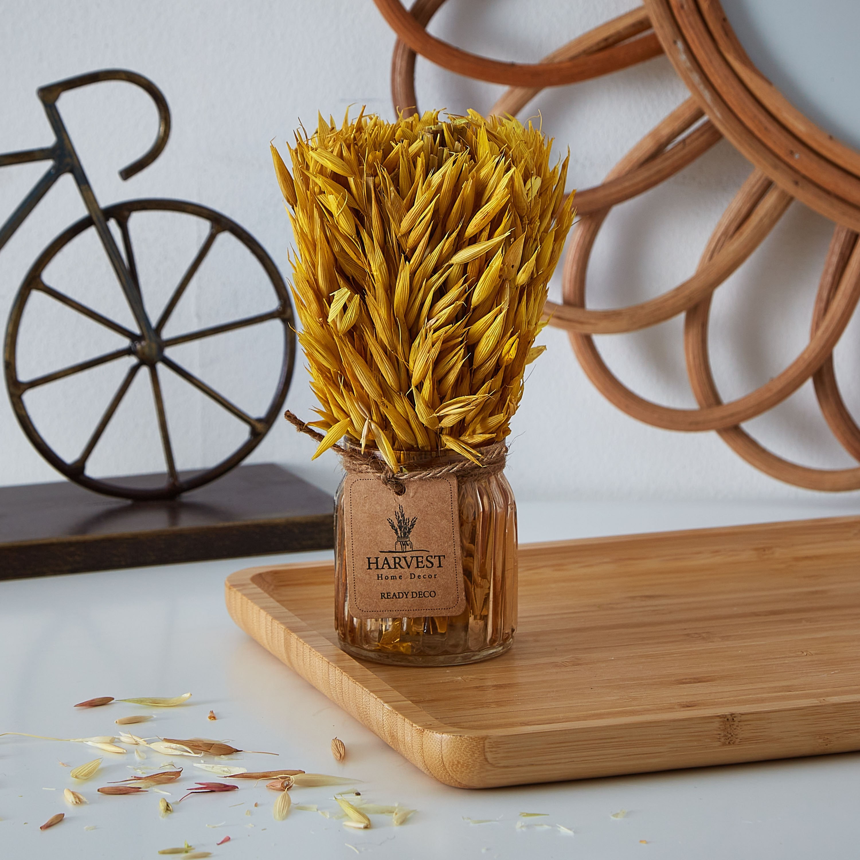 عشب مجفف في إصيص زجاجي من إتنا - 18 سم-hbxdecorandfurnishings-homeaccessories-artificialflowersandplants-image-1