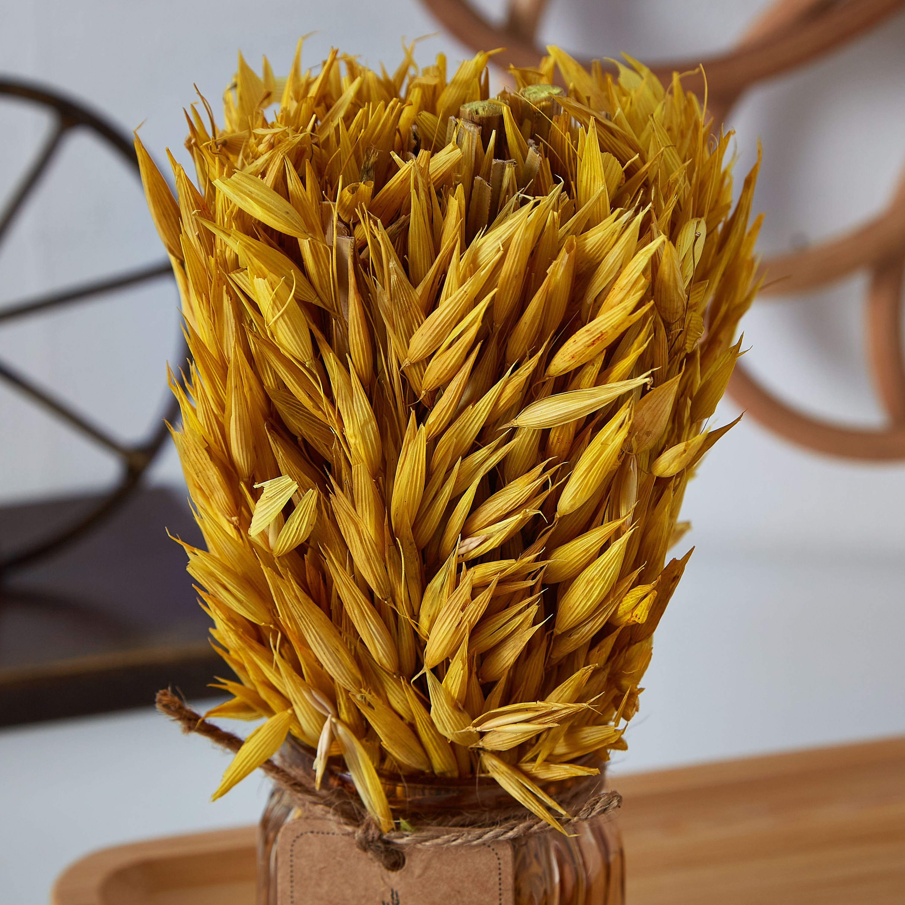عشب مجفف في إصيص زجاجي من إتنا - 18 سم-hbxdecorandfurnishings-homeaccessories-artificialflowersandplants-image-2