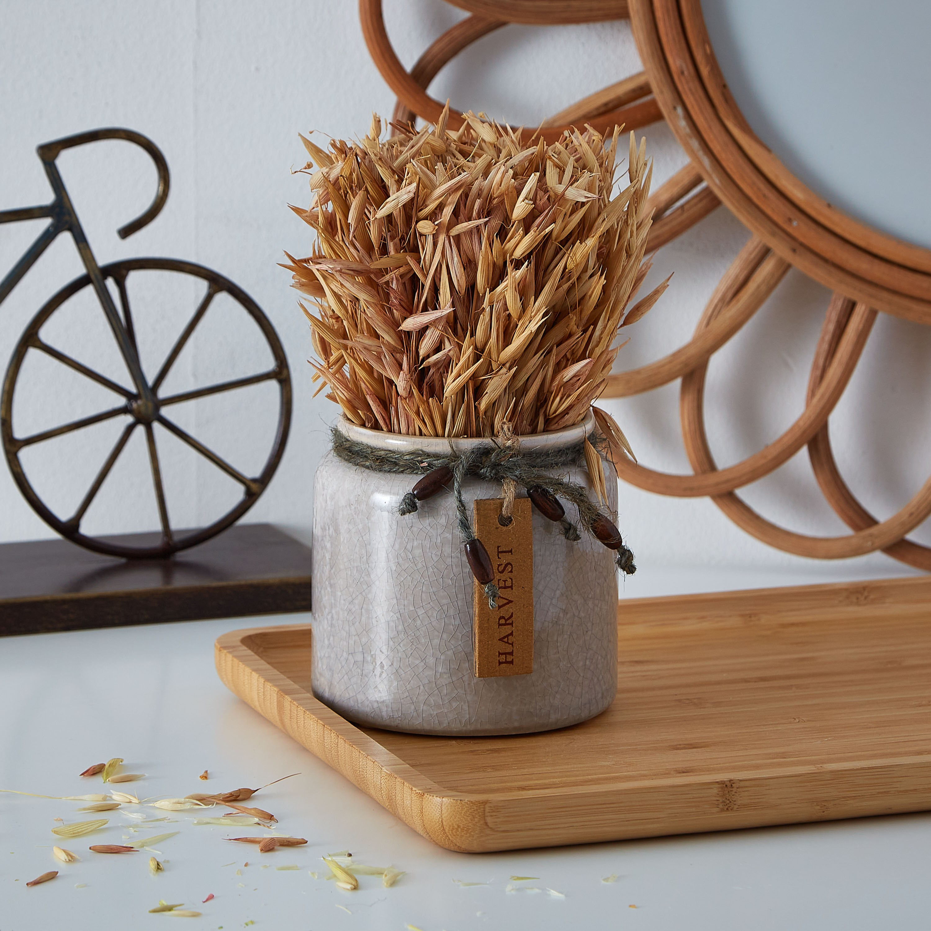 تشكيلة عشب مجفف في إصيص سيراميكي من إتنا - 18 سم-hbxdecorandfurnishings-homeaccessories-artificialflowersandplants-image-1