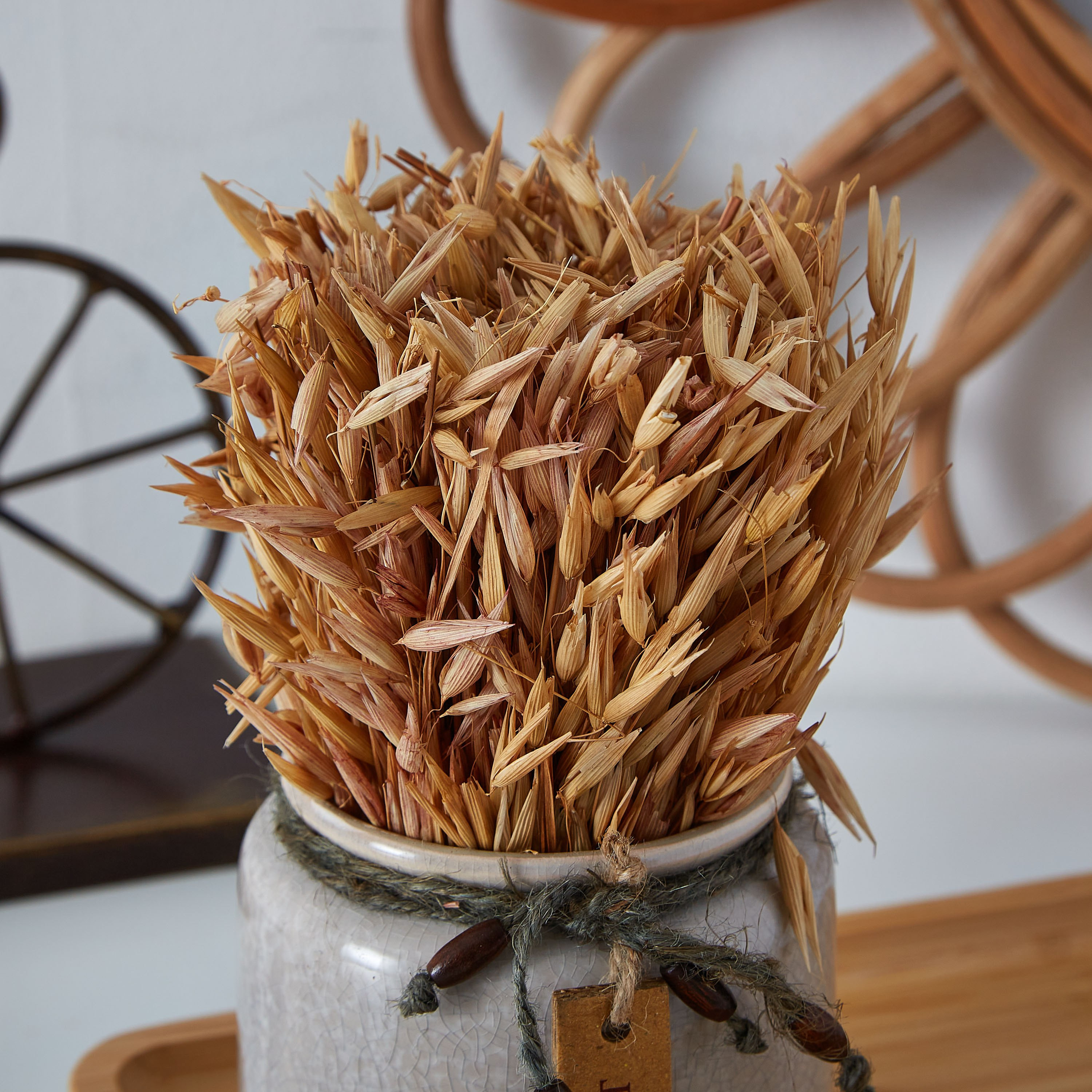 تشكيلة عشب مجفف في إصيص سيراميكي من إتنا - 18 سم-hbxdecorandfurnishings-homeaccessories-artificialflowersandplants-image-2