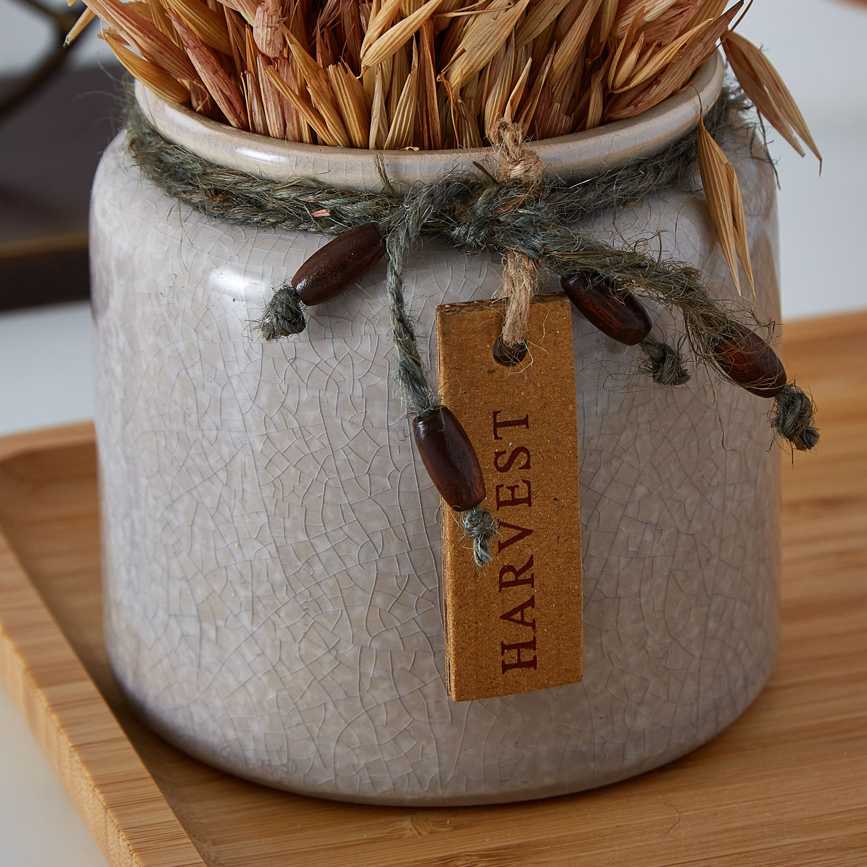 تشكيلة عشب مجفف في إصيص سيراميكي من إتنا - 18 سم-hbxdecorandfurnishings-homeaccessories-artificialflowersandplants-image-3