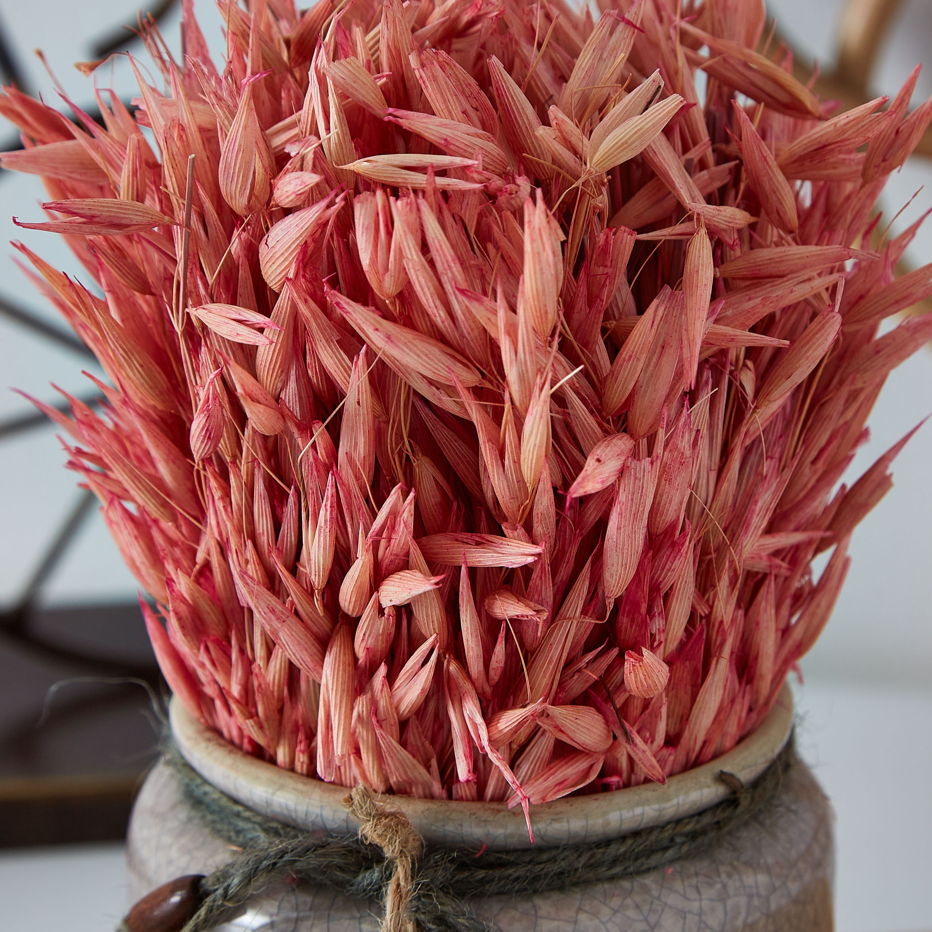 عشب مجفف في إصيص زجاجي من إتنا - 20 سم-hbxdecorandfurnishings-homeaccessories-artificialflowersandplants-image-2