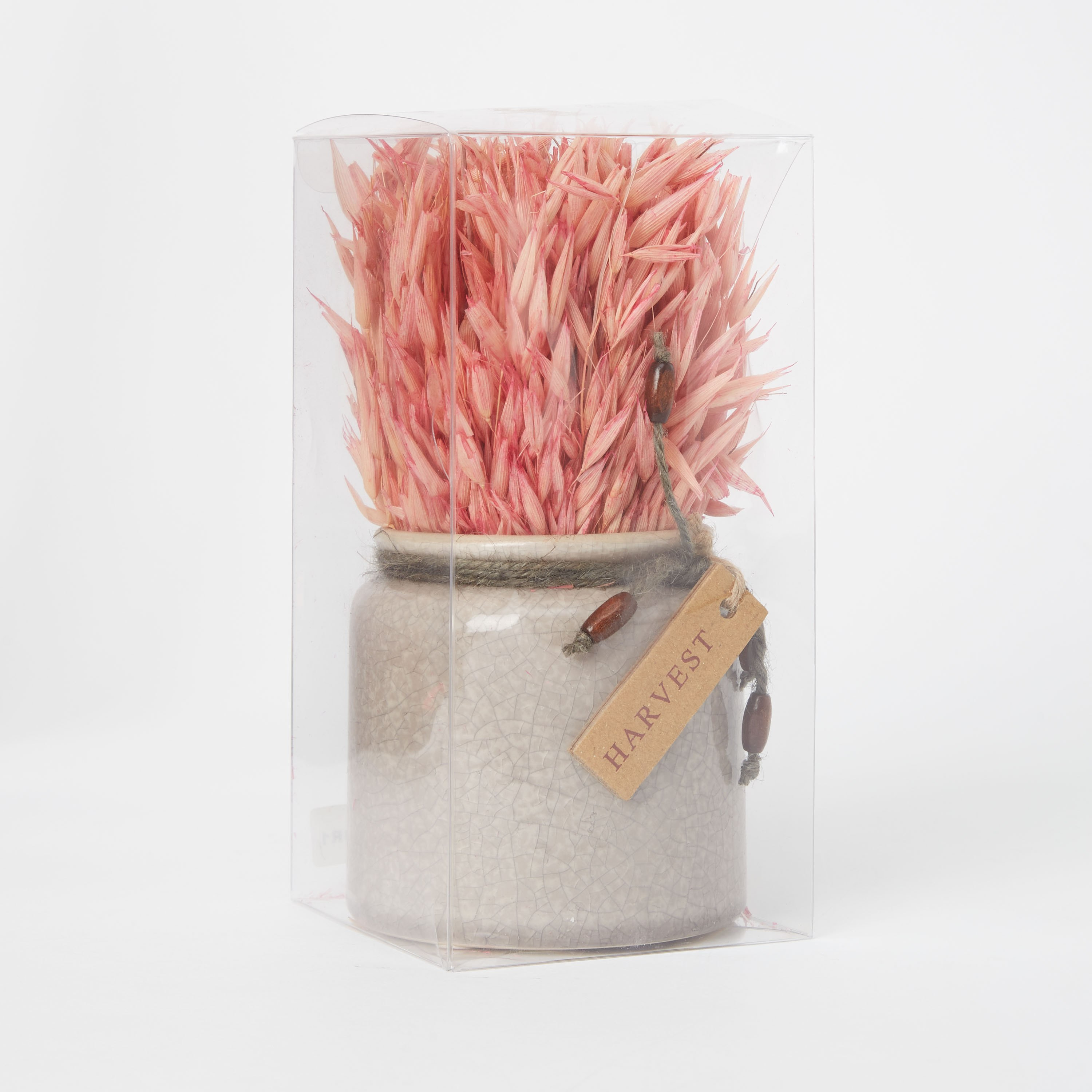 عشب مجفف في إصيص زجاجي من إتنا - 20 سم-hbxdecorandfurnishings-homeaccessories-artificialflowersandplants-image-4