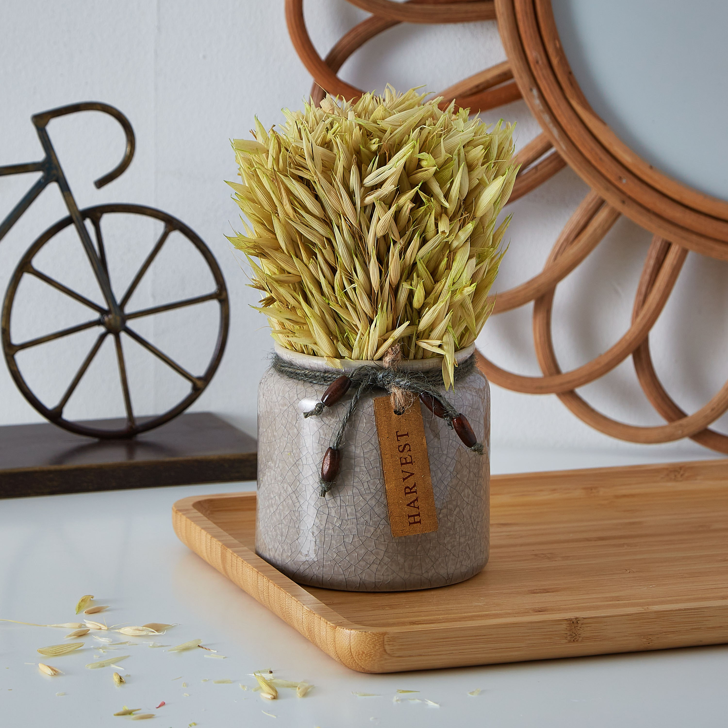 تشكيلة عشب مجفف في إصيص سيراميكي من إتنا - 20 سم-hbxdecorandfurnishings-homeaccessories-artificialflowersandplants-image-1