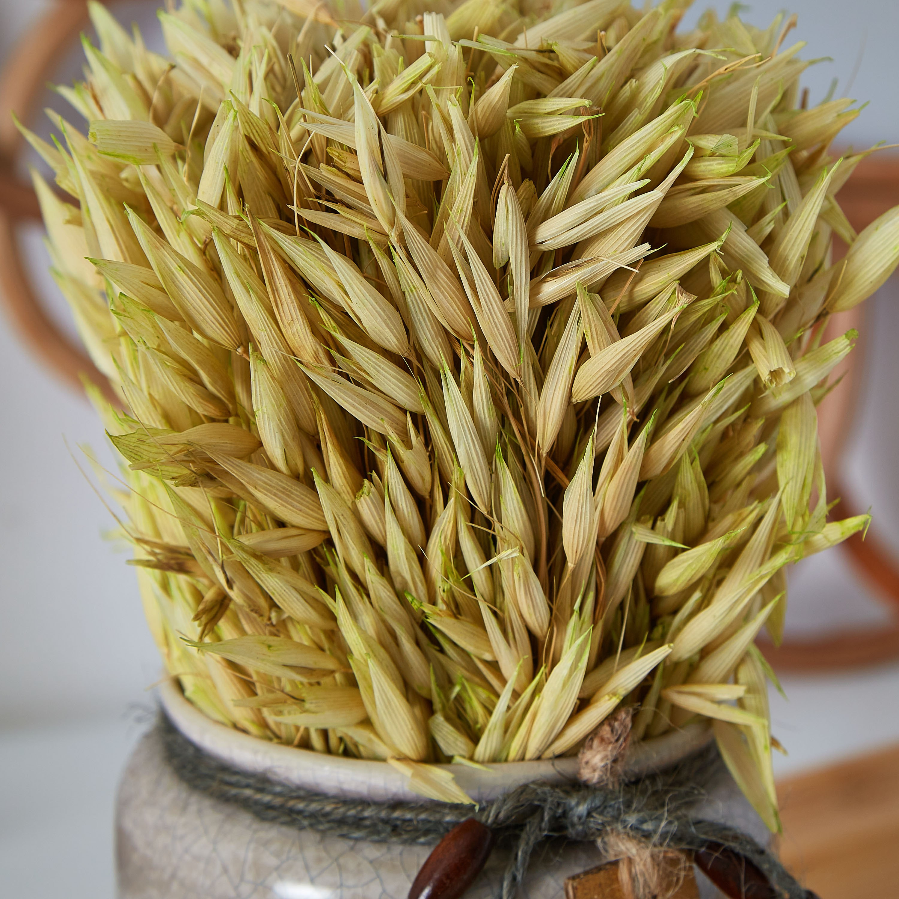 تشكيلة عشب مجفف في إصيص سيراميكي من إتنا - 20 سم-hbxdecorandfurnishings-homeaccessories-artificialflowersandplants-image-2