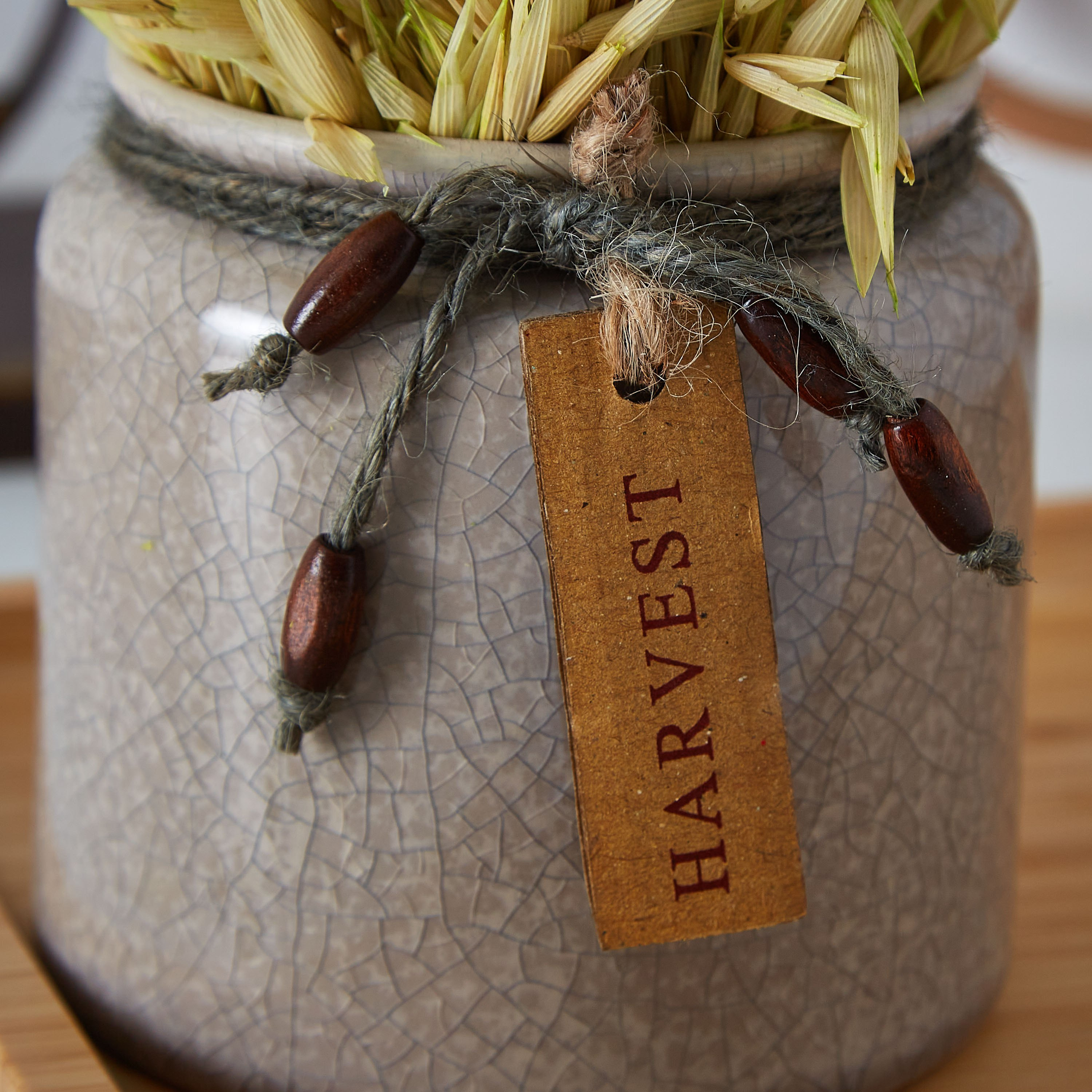 تشكيلة عشب مجفف في إصيص سيراميكي من إتنا - 20 سم-hbxdecorandfurnishings-homeaccessories-artificialflowersandplants-image-3