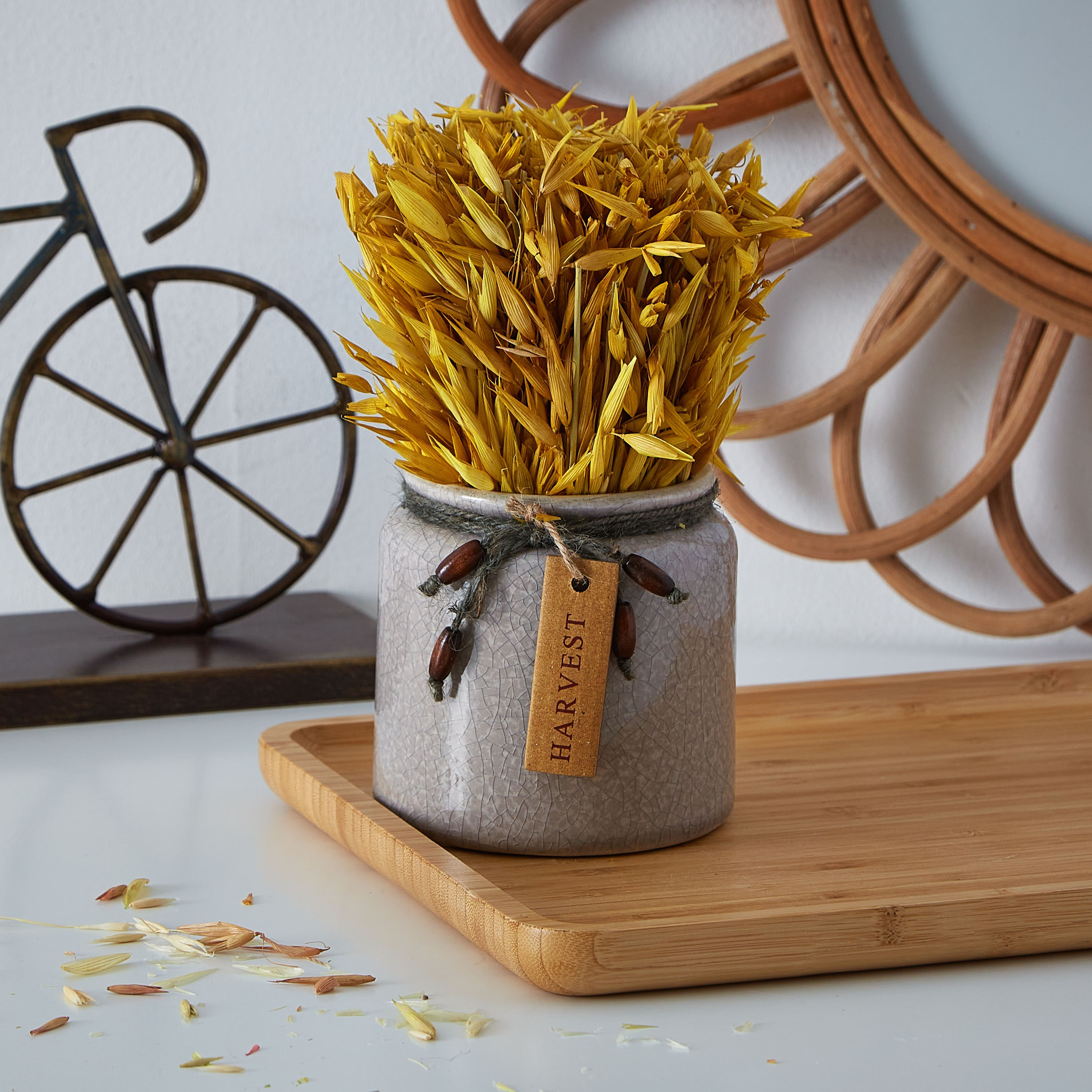 باقة عشب مجفف في إصيص سيراميكي من إتنا - 20 سم-hbxdecorandfurnishings-homeaccessories-artificialflowersandplants-image-1