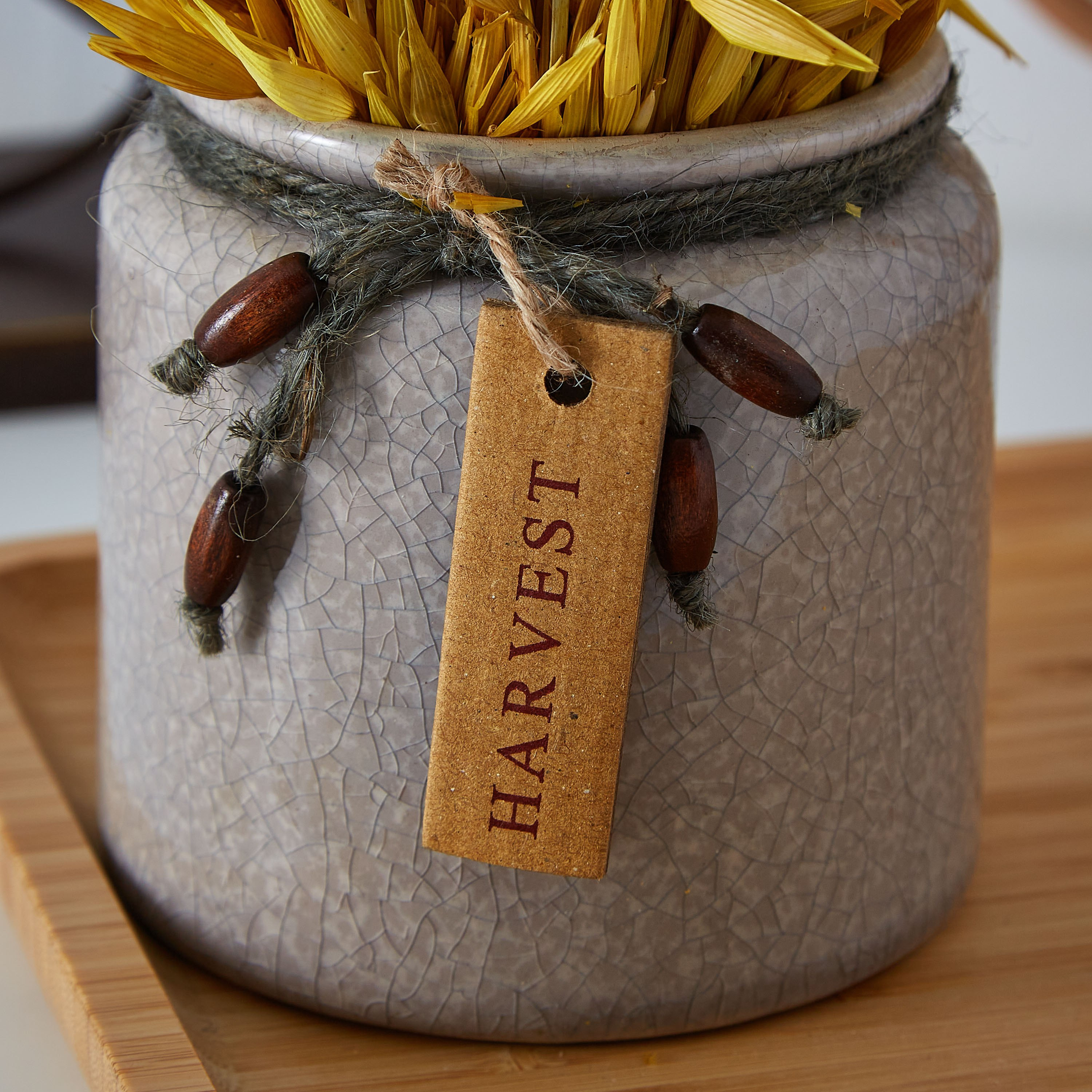باقة عشب مجفف في إصيص سيراميكي من إتنا - 20 سم-hbxdecorandfurnishings-homeaccessories-artificialflowersandplants-image-3
