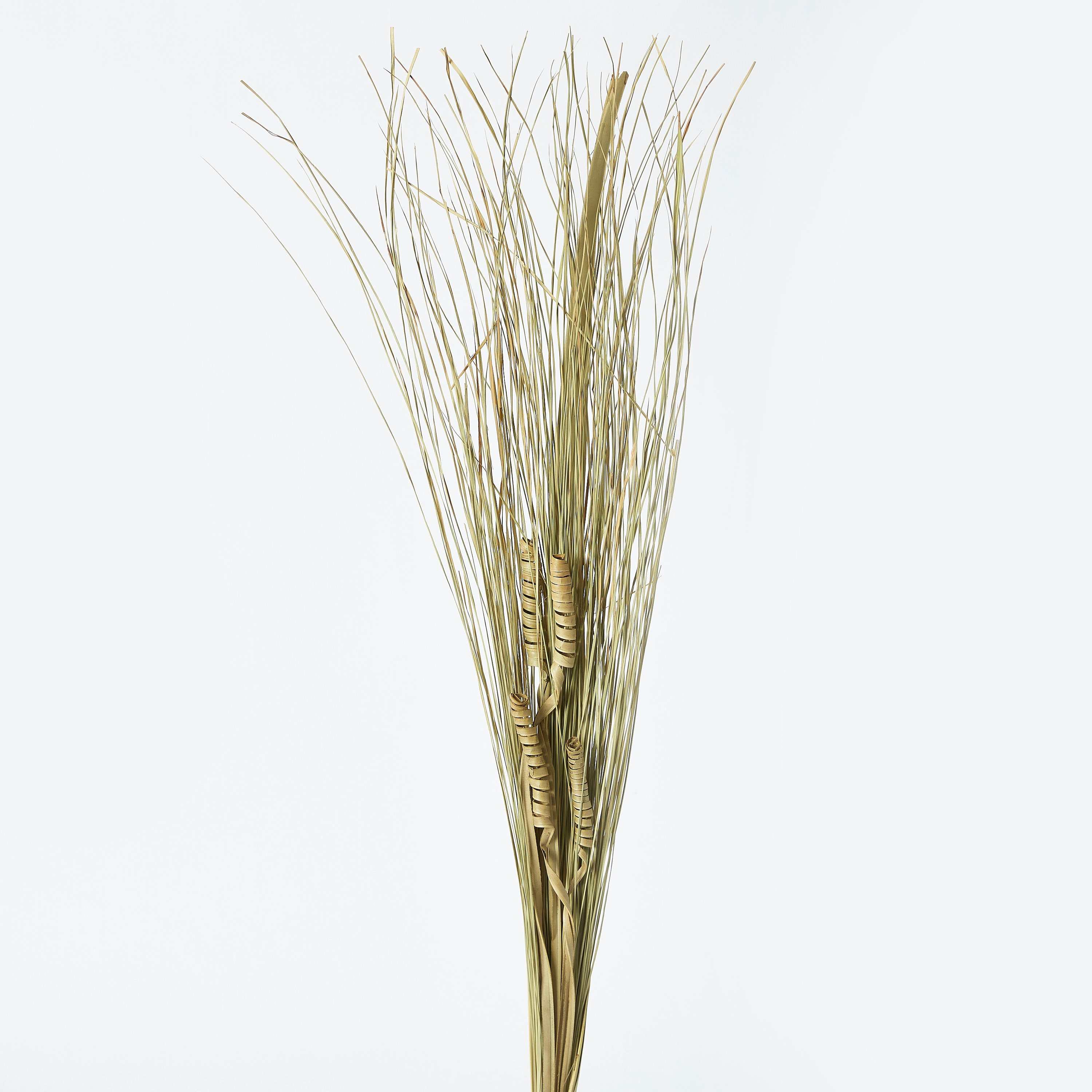 عصا زينة بأعواد الباجرا والعشب من إتنا - 100 سم-hbxdecorandfurnishings-homeaccessories-artificialflowersandplants-image-5