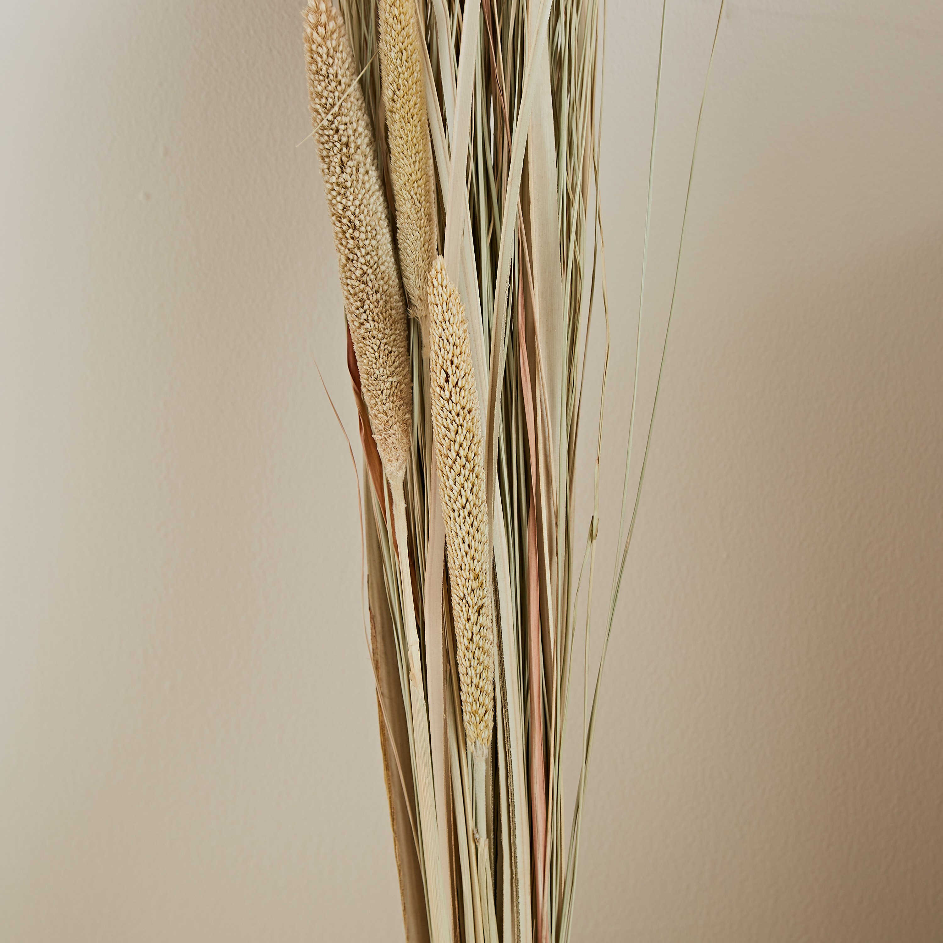 عصا زينة رفيعة بالنخيل والعشب من إتنا - 100 سم-hbxdecorandfurnishings-homeaccessories-artificialflowersandplants-image-2