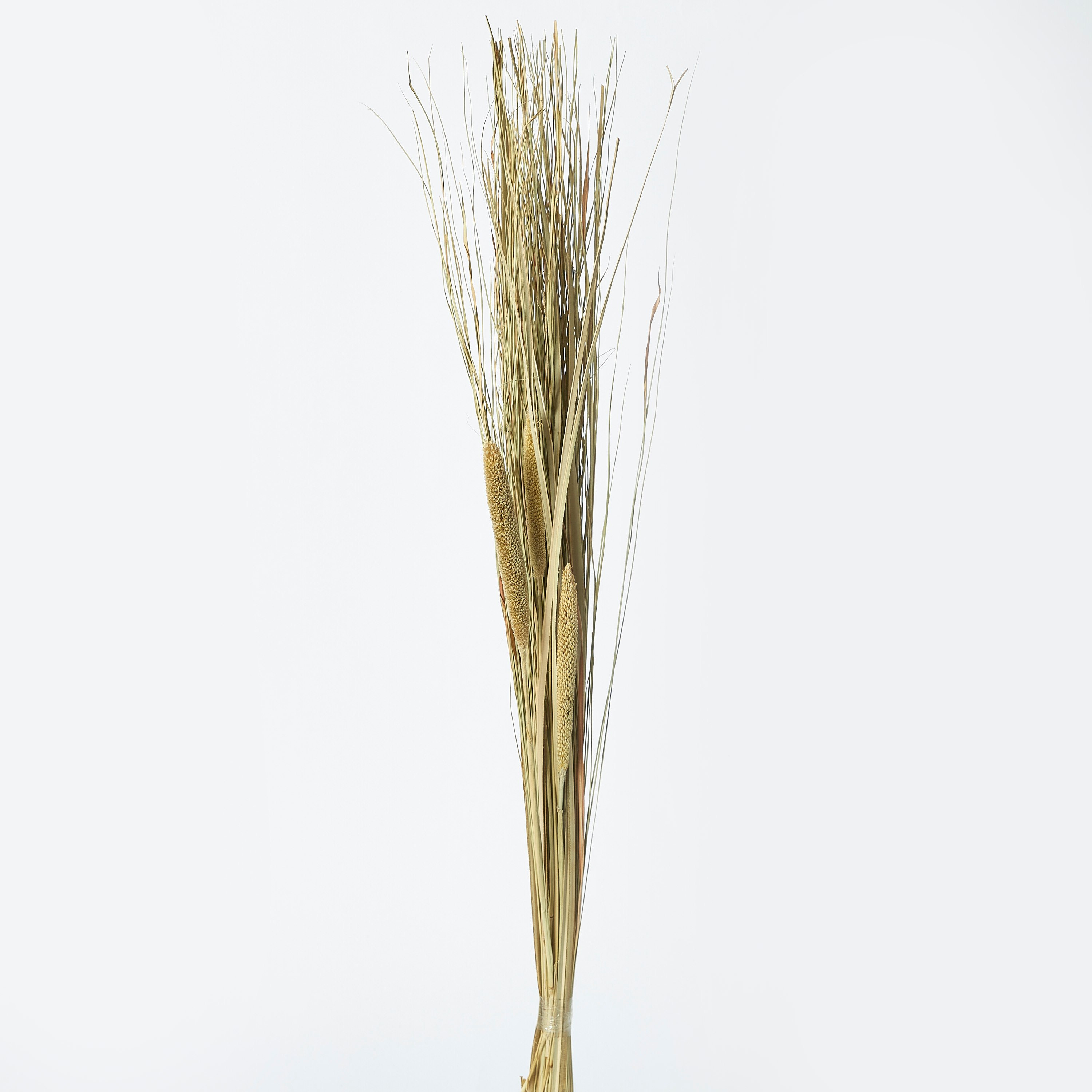 عصا زينة رفيعة بالنخيل والعشب من إتنا - 100 سم-hbxdecorandfurnishings-homeaccessories-artificialflowersandplants-image-5