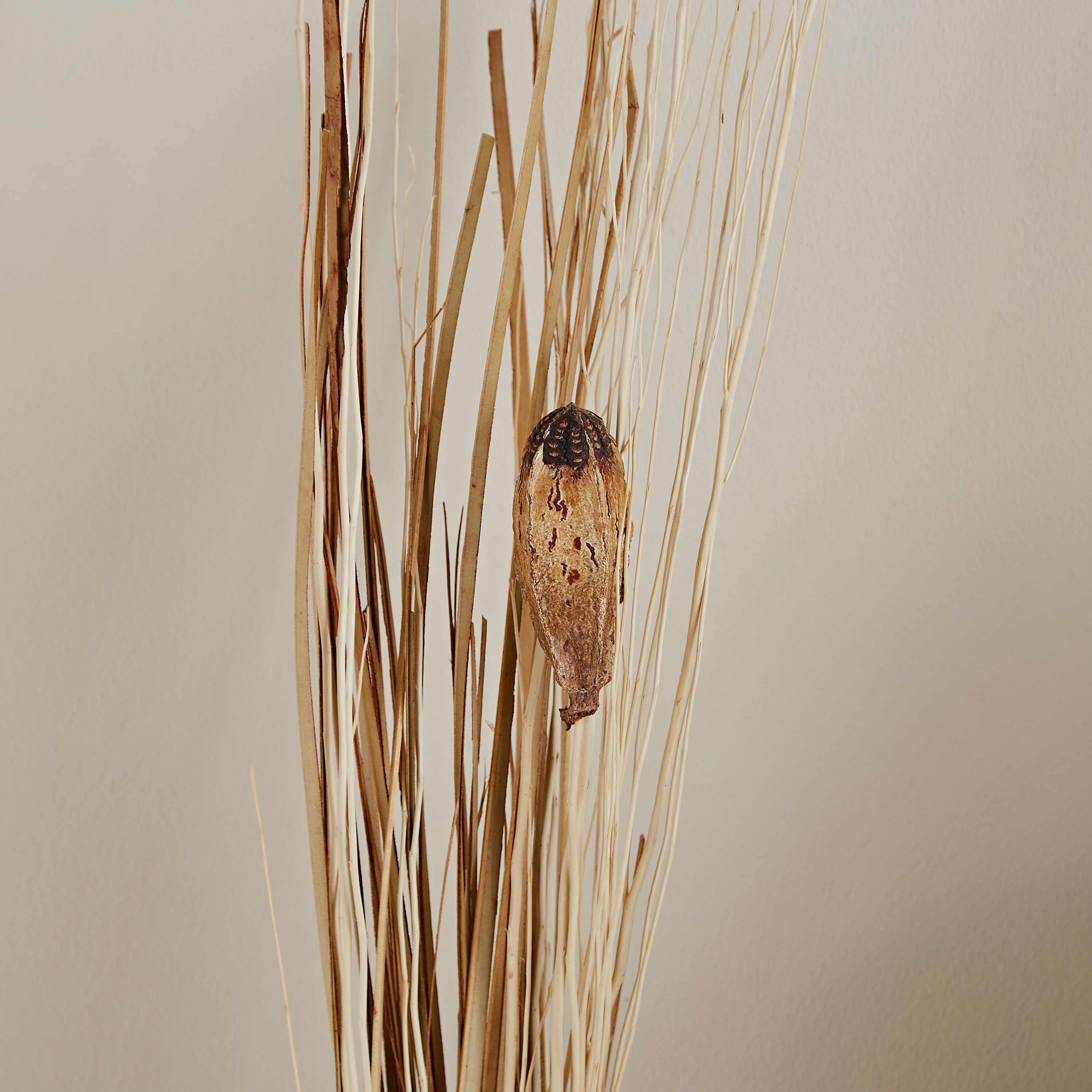 عصا زينة رفيعة من إتنا - 100 سم-hbxdecorandfurnishings-homeaccessories-artificialflowersandplants-image-3