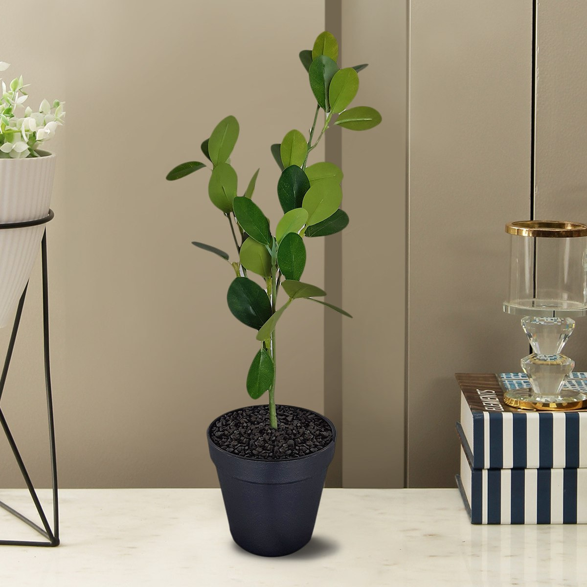 إصيص بنبتة من ليفيا-hbxdecorandfurnishings-homeaccessories-artificialflowersandplants-image-1