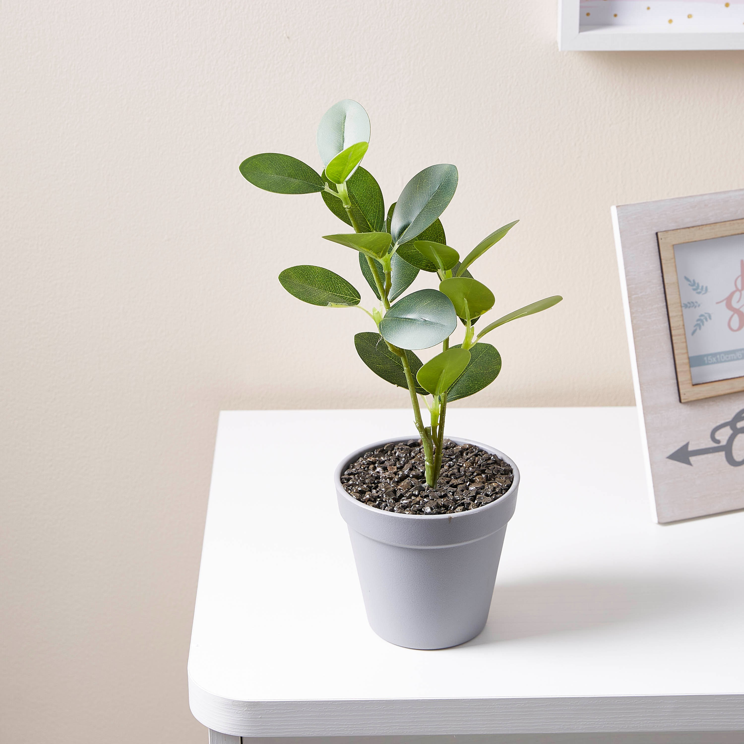 إصيص بنبتة من ليفيا-hbxdecorandfurnishings-homeaccessories-artificialflowersandplants-image-2