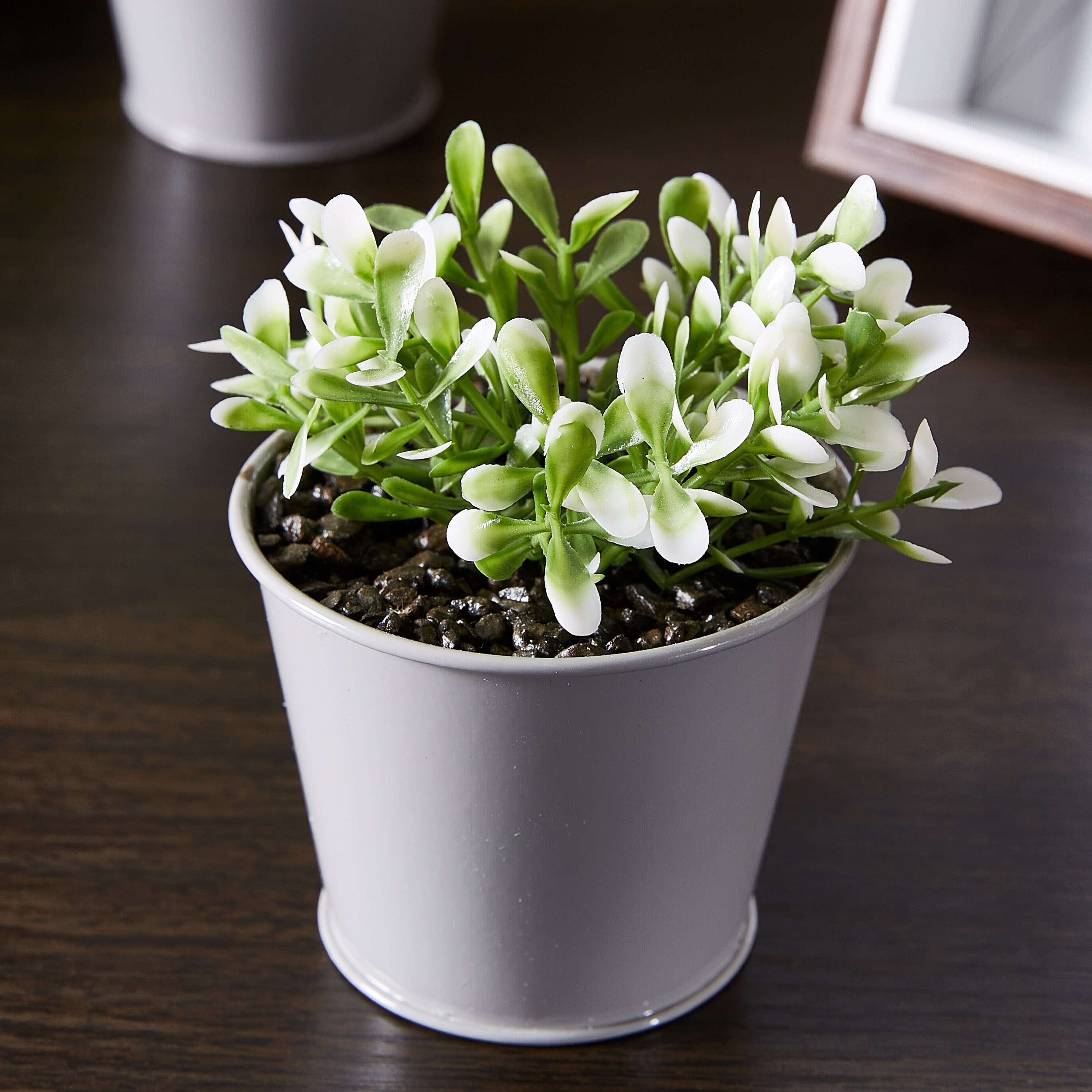 جرّة معدنيّة بنبتة بوش من ليفيا - طقم من 3 قطع-hbxdecorandfurnishings-homeaccessories-artificialflowersandplants-image-2