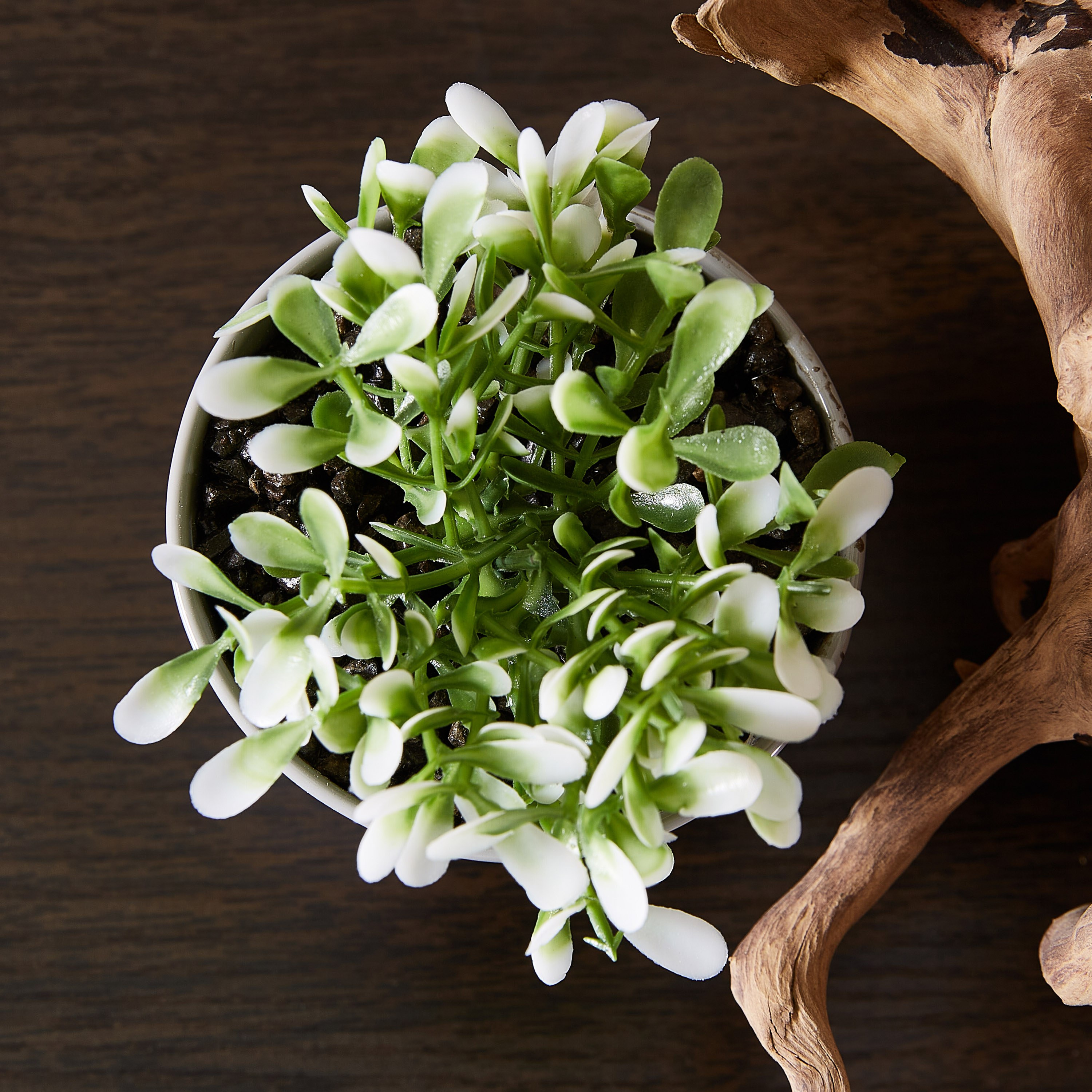 جرّة معدنيّة بنبتة بوش من ليفيا - طقم من 3 قطع-hbxdecorandfurnishings-homeaccessories-artificialflowersandplants-image-3