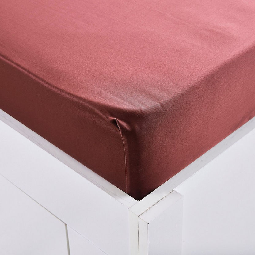 Nova Stretchable Single Size Fitted Sheet - 90x200 cm-Sheets and Pillow Covers-image-2