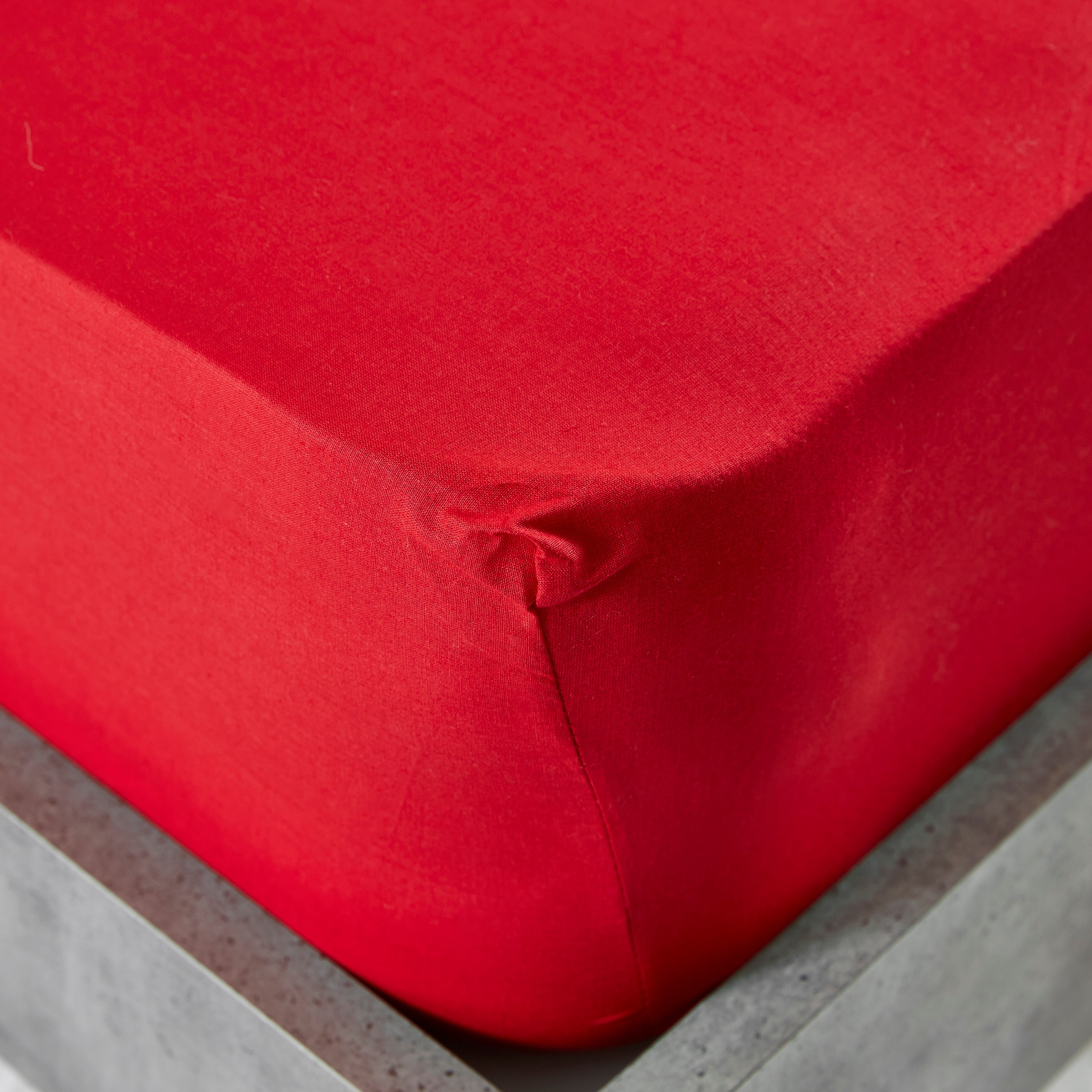 Wellington Solid Cotton Twin Fitted Sheet - 120x200 cm-hbxhomeware-hbxbedroom-image-3