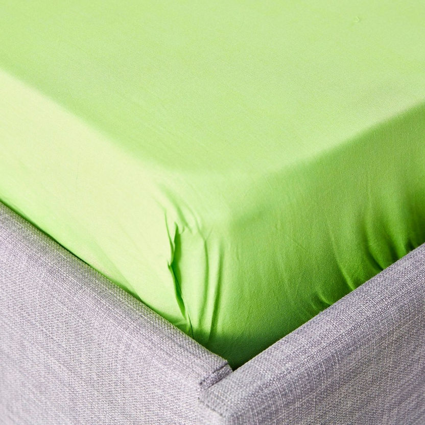 Wellington Solid Cotton Queen Fitted Sheet - 150x200 cm-Sheets and Pillow Covers-image-1