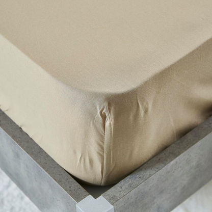 Wellington Solid Cotton Twin Size Fitted Sheet - 120x200 cms