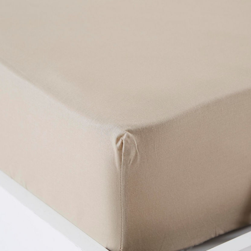 Wellington Solid Cotton Queen Fitted Sheet - 150x200 cm-Sheets and Pillow Covers-image-2