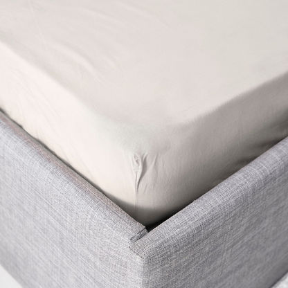Wellington Solid Cotton Super King Fitted Sheet - 200x200 cm