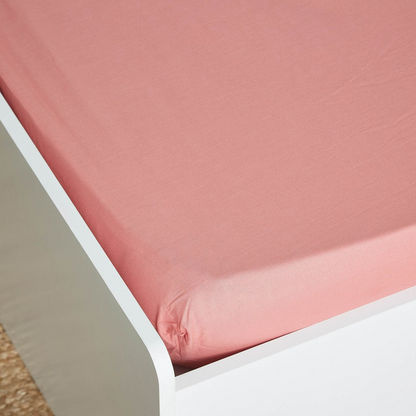 Wellington Solid Cotton Single Fitted Sheet - 90x200 cms
