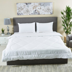 Wellington 3-Piece Solid Cotton Queen Comforter Set - 200x240 cms