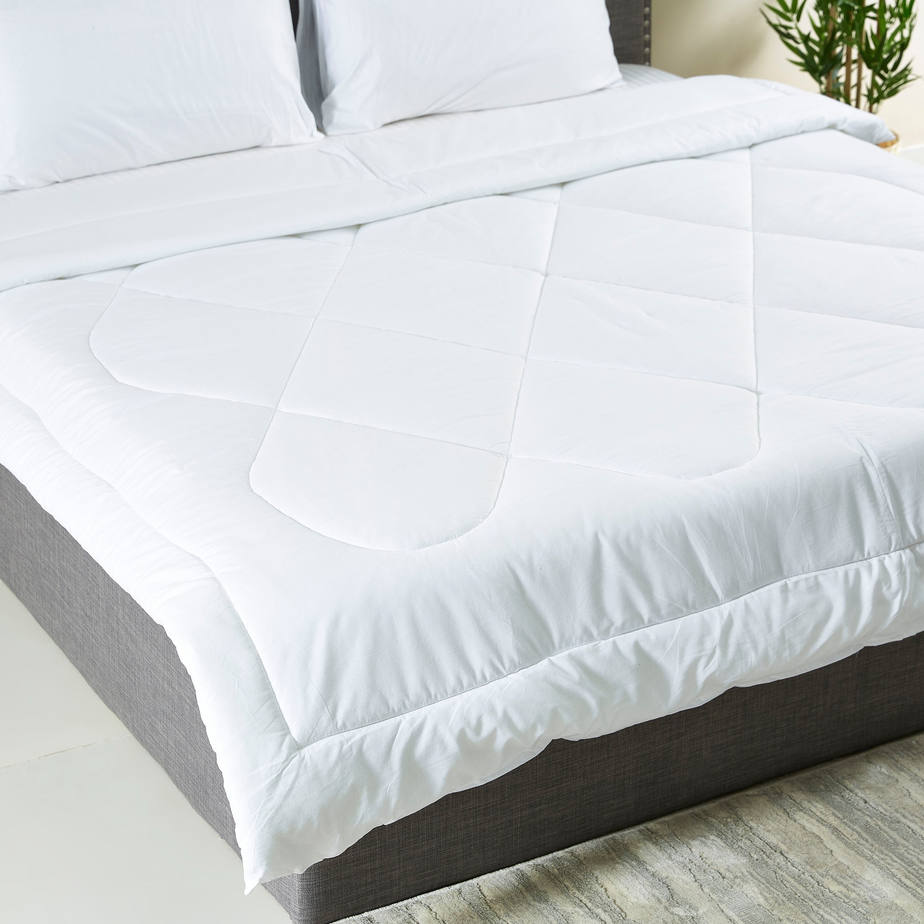 طقم لحاف كوين قطن سادة 3 قطع من ويلنجتون - 200x240 سم-PROMO_HB_AE_B1G1_250925-image-3