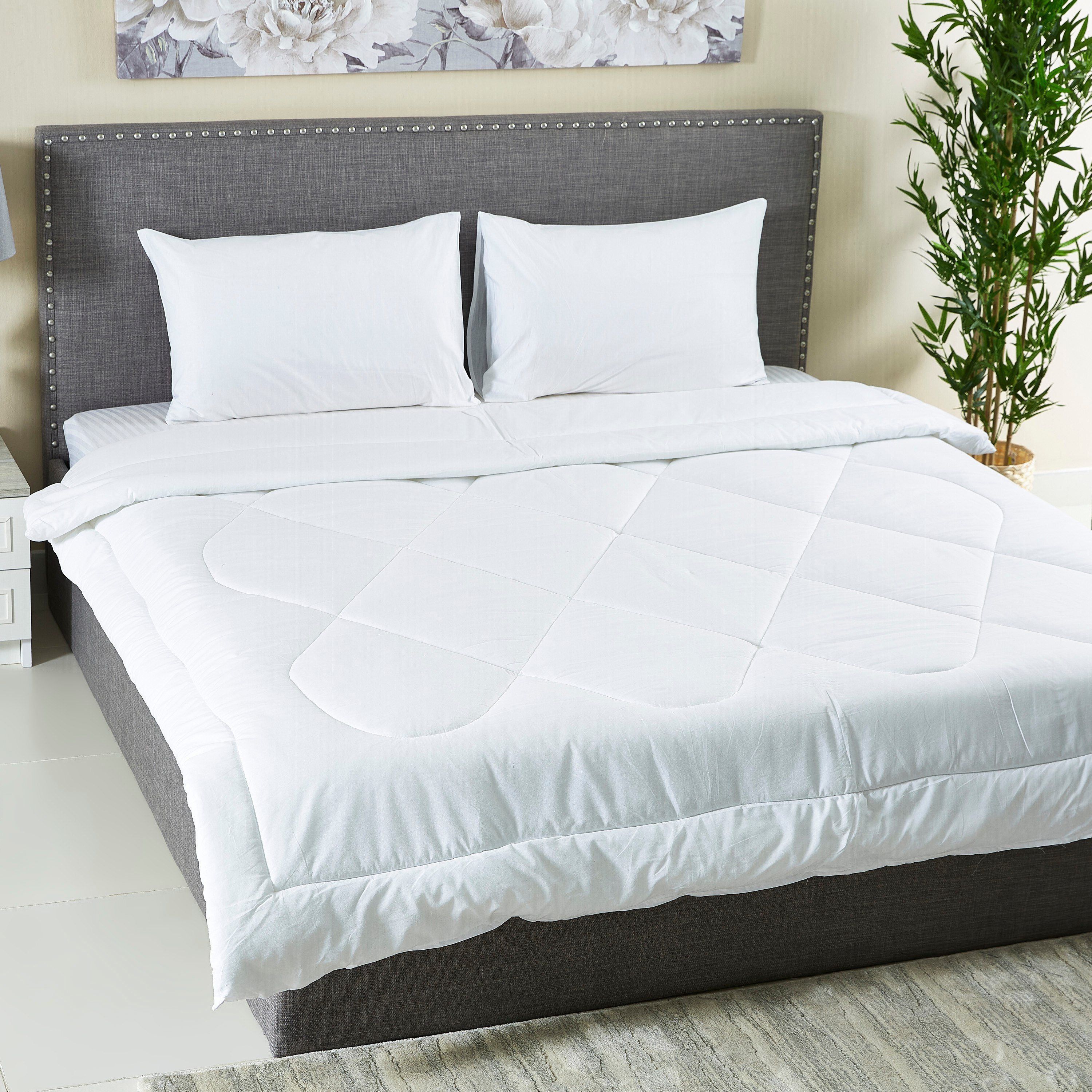 طقم لحاف سوبر كينج قطن سادة 3 قطع من ولينجتون - 240x240 سم-hbxhomeware-hbxdecorandfurnishings-image-2