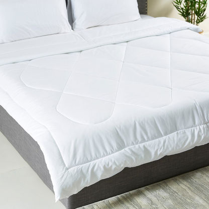 Wellington Solid Cotton 3-Piece Super King Comforter Set - 240x240 cm