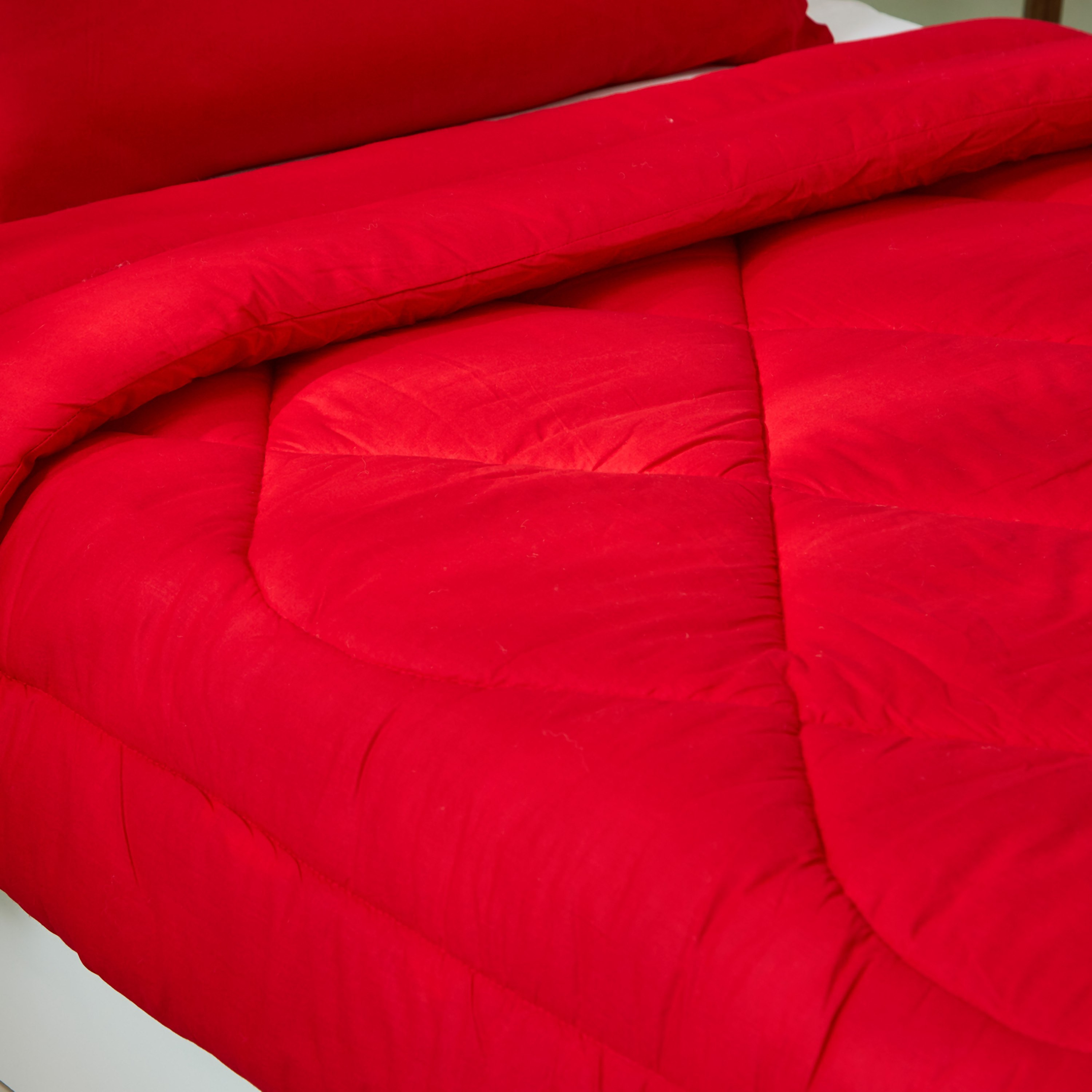 Wellington 2-Piece Solid Cotton Single Comforter Set - 135x220 cm-PROMO_HB_AE_B1G1_250925-image-4